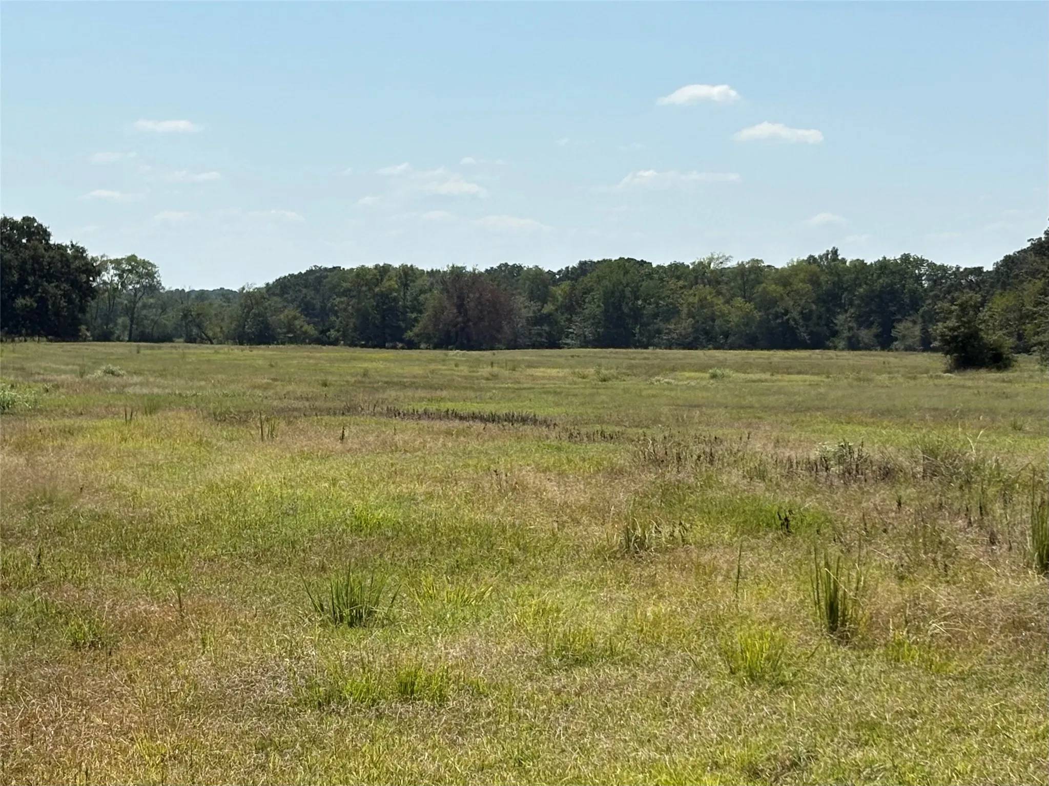 Improved Land For Sale in Hopkins County , TBD County Road 1168 3, Brashear, Texas 75420, 0, 0, Garage spaces, 0 Sqft, built in 0, mls#21209462, Real Estate Agent in Brashear, Homes For Sale in Hopkins county, Homes For Sale in Brashear, Realtor in Brashear Texas, Real Estate Brokerage Independent Realty Texas, Luminita Cordes Realtor