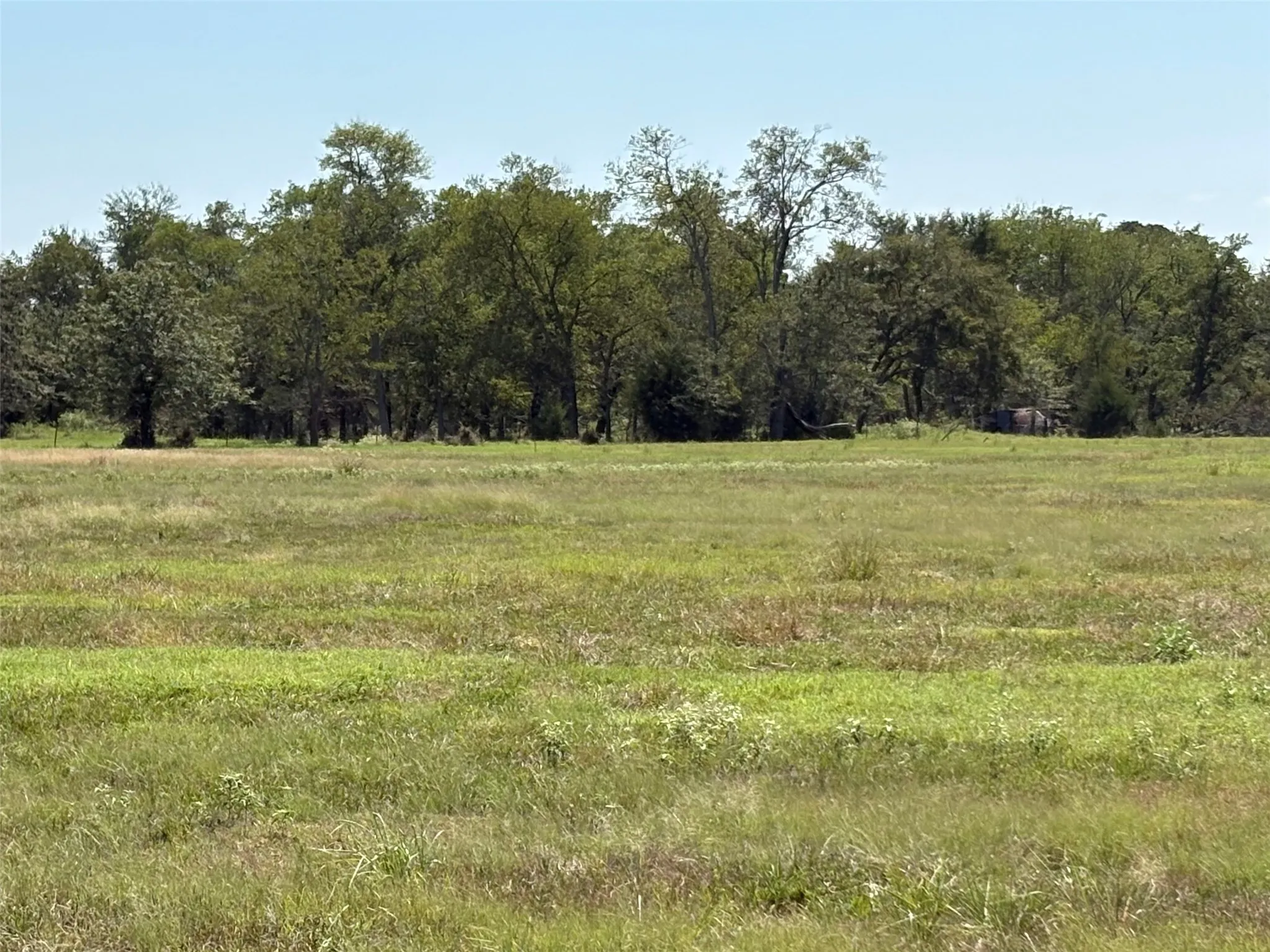 Improved Land For Sale in Hopkins County , TBD County Road 1168 3, Brashear, Texas 75420, 0, 0, Garage spaces, 0 Sqft, built in 0, mls#21209462, Real Estate Agent in Brashear, Homes For Sale in Hopkins county, Homes For Sale in Brashear, Realtor in Brashear Texas, Real Estate Brokerage Independent Realty Texas, Luminita Cordes Realtor