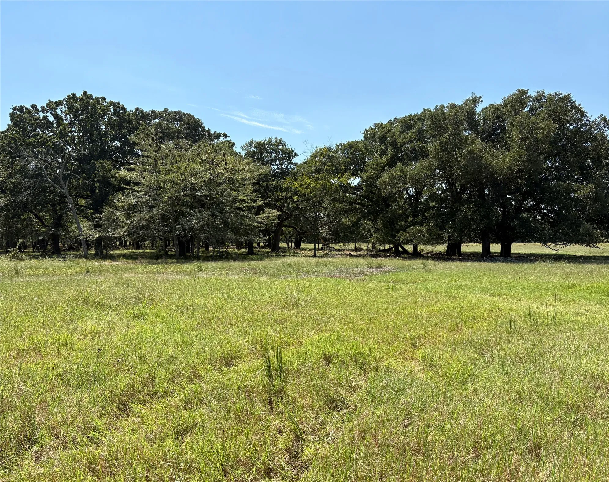 Improved Land For Sale in Hopkins County , TBD County Road 1168 3, Brashear, Texas 75420, 0, 0, Garage spaces, 0 Sqft, built in 0, mls#21209462, Real Estate Agent in Brashear, Homes For Sale in Hopkins county, Homes For Sale in Brashear, Realtor in Brashear Texas, Real Estate Brokerage Independent Realty Texas, Luminita Cordes Realtor