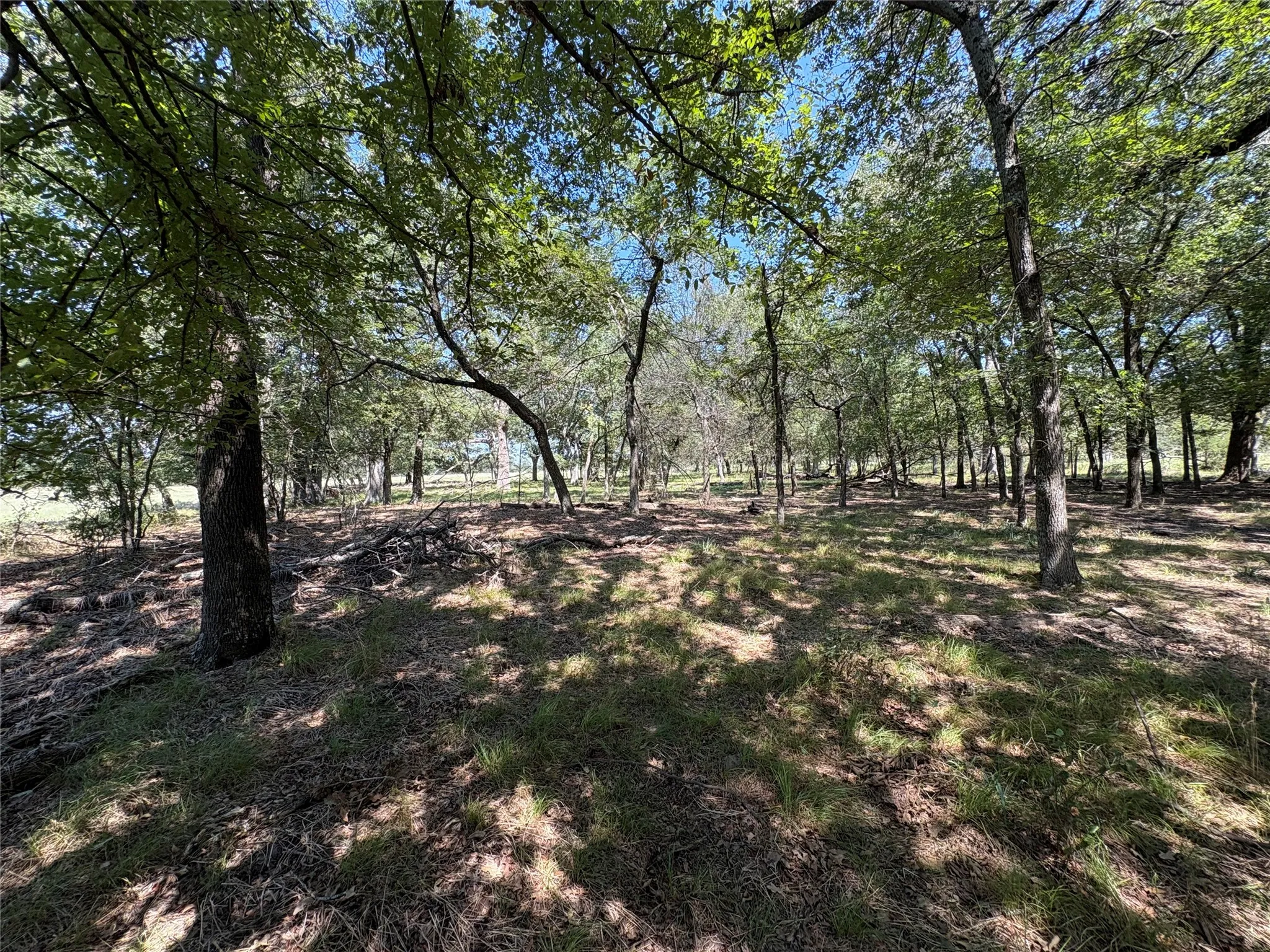 Improved Land For Sale in Hopkins County , TBD County Road 1168 3, Brashear, Texas 75420, 0, 0, Garage spaces, 0 Sqft, built in 0, mls#21209462, Real Estate Agent in Brashear, Homes For Sale in Hopkins county, Homes For Sale in Brashear, Realtor in Brashear Texas, Real Estate Brokerage Independent Realty Texas, Luminita Cordes Realtor