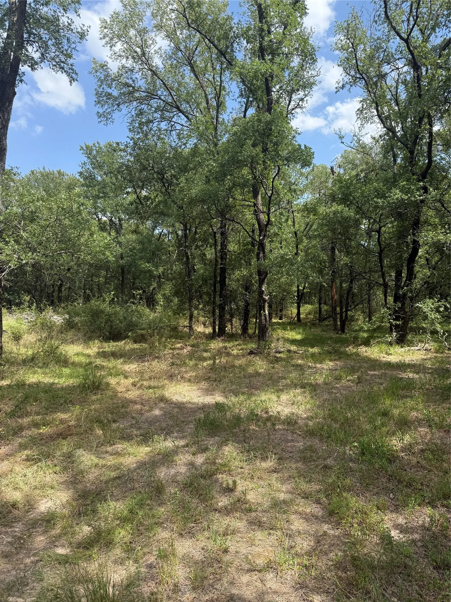 Unimproved Land For Sale in Mc Lennan County , 1741 Elm Lake Road, Riesel, Texas 76682, 0, 0, Garage spaces, 0 Sqft, built in 0, mls#21210345, Real Estate Agent in Riesel, Homes For Sale in Mc Lennan county, Homes For Sale in Riesel, Realtor in Riesel Texas, Real Estate Brokerage Independent Realty Texas, Luminita Cordes Realtor
