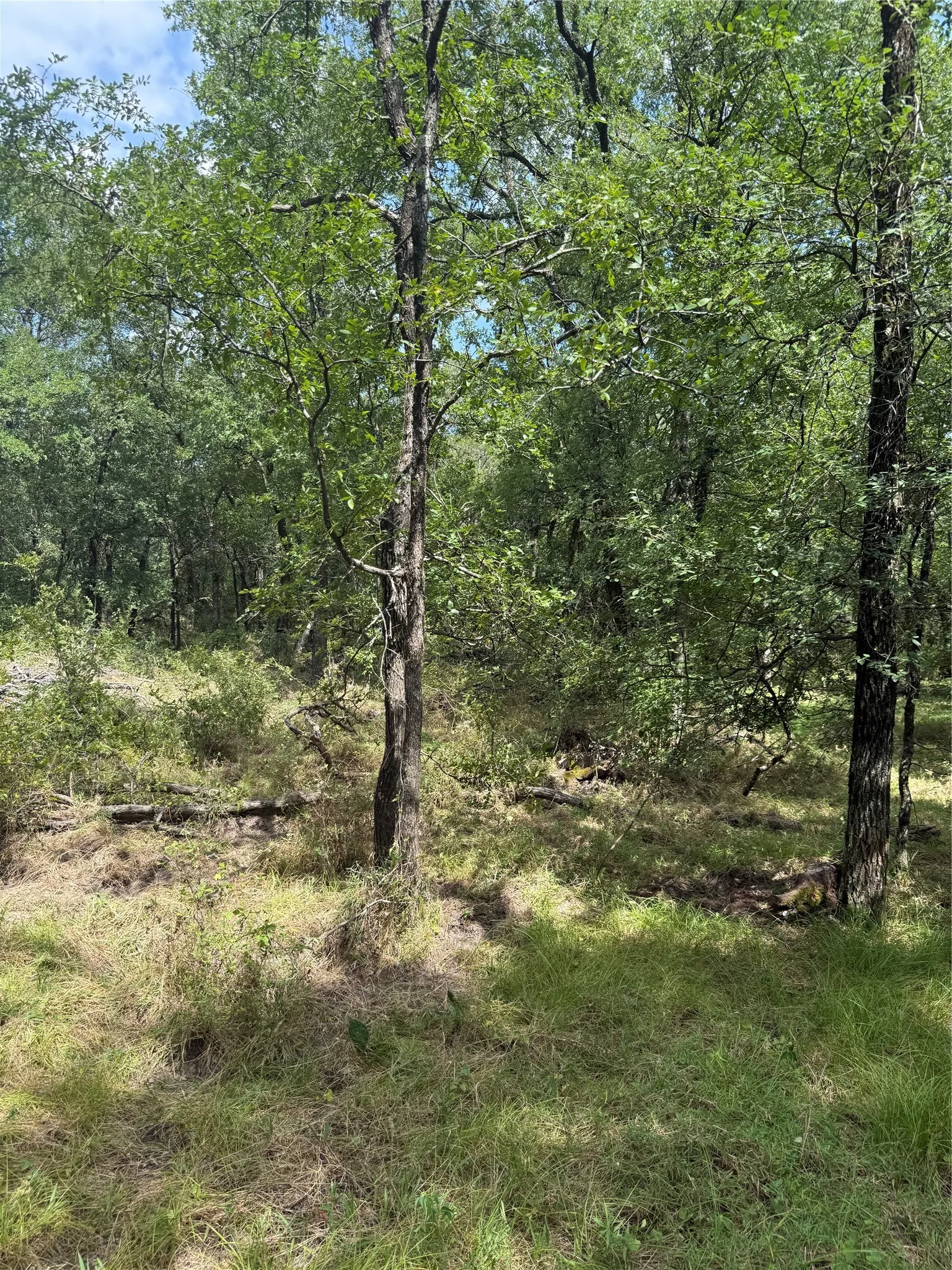 Unimproved Land For Sale in Mc Lennan County , 1741 Elm Lake Road, Riesel, Texas 76682, 0, 0, Garage spaces, 0 Sqft, built in 0, mls#21210345, Real Estate Agent in Riesel, Homes For Sale in Mc Lennan county, Homes For Sale in Riesel, Realtor in Riesel Texas, Real Estate Brokerage Independent Realty Texas, Luminita Cordes Realtor