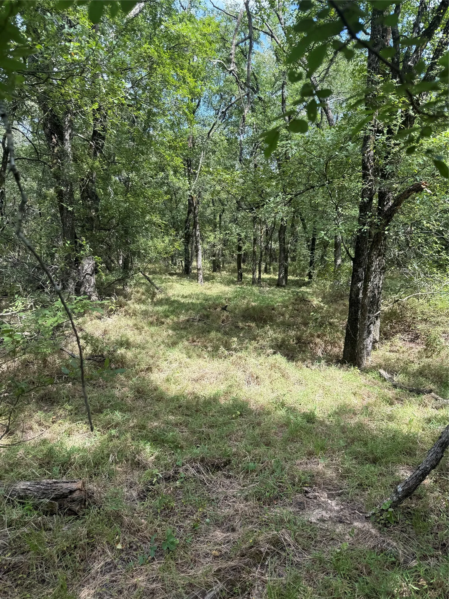 Unimproved Land For Sale in Mc Lennan County , 1741 Elm Lake Road, Riesel, Texas 76682, 0, 0, Garage spaces, 0 Sqft, built in 0, mls#21210345, Real Estate Agent in Riesel, Homes For Sale in Mc Lennan county, Homes For Sale in Riesel, Realtor in Riesel Texas, Real Estate Brokerage Independent Realty Texas, Luminita Cordes Realtor