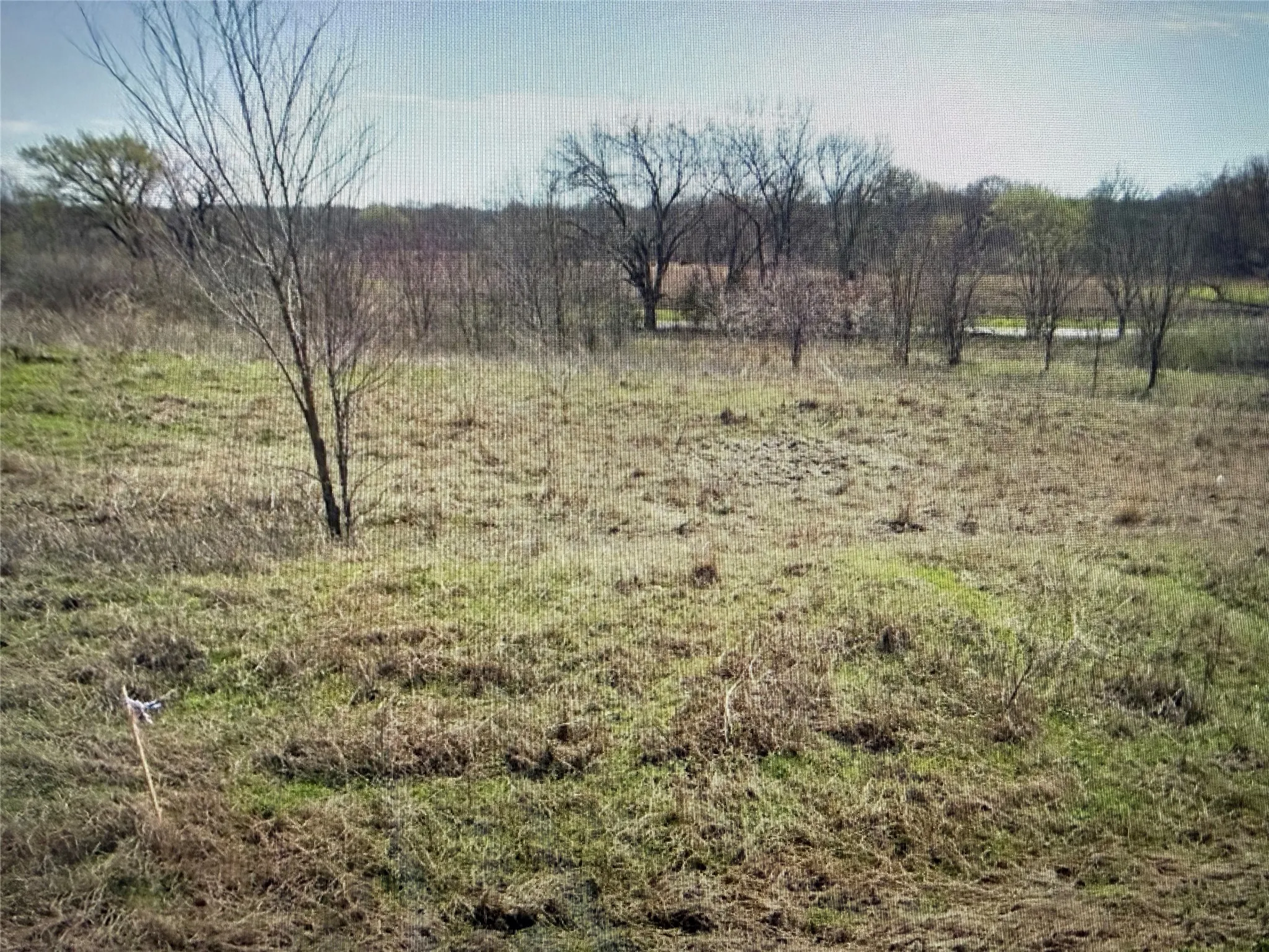Unimproved Land For Sale in Grayson County , Lot 19 Reast Road, Whitesboro, Texas 76273, 0, 0, Garage spaces, 0 Sqft, built in 0, mls#21210019, Real Estate Agent in Whitesboro, Homes For Sale in Grayson county, Homes For Sale in Whitesboro, Realtor in Whitesboro Texas, Real Estate Brokerage Independent Realty Texas, Luminita Cordes Realtor