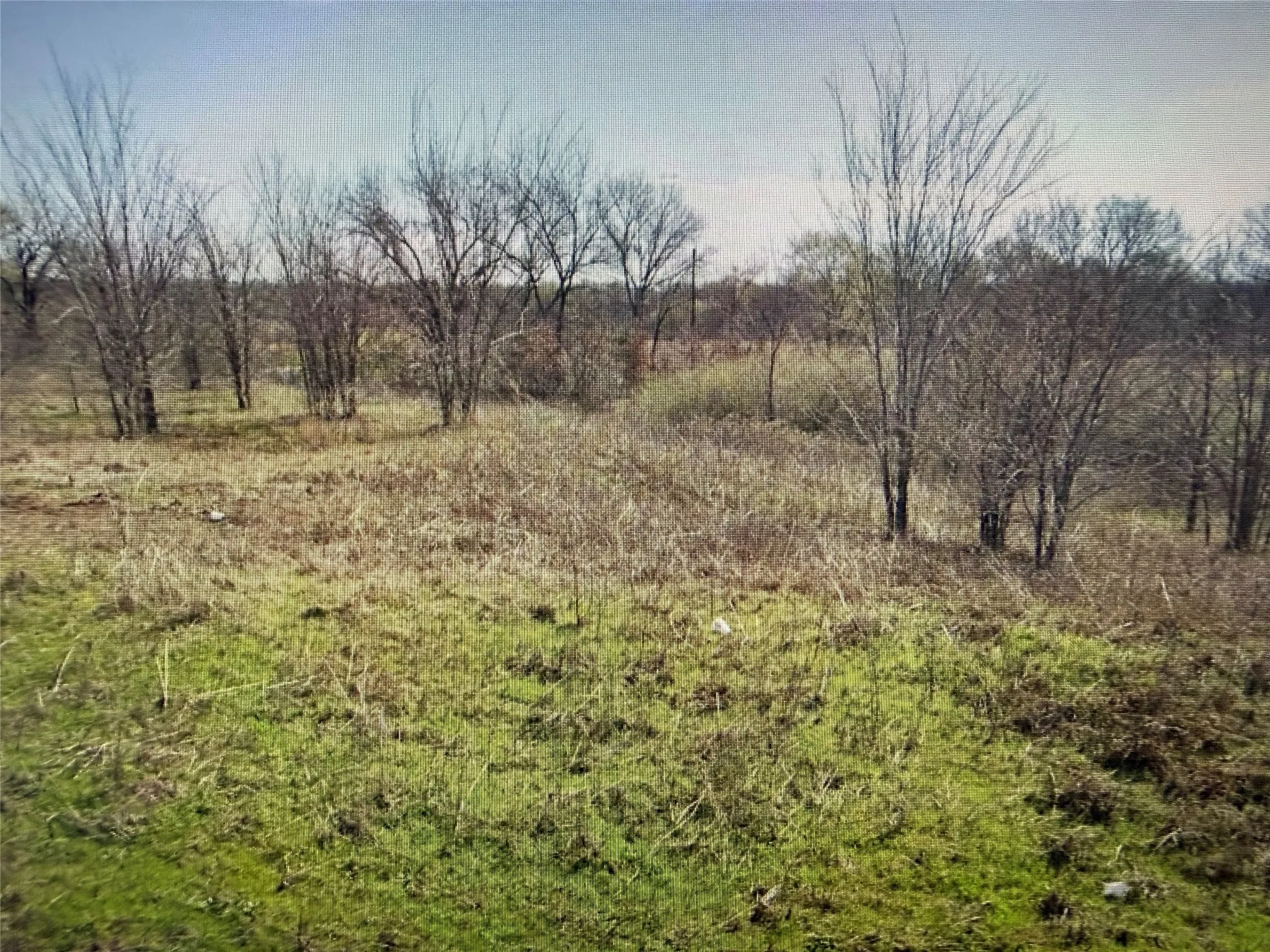 Unimproved Land For Sale in Grayson County , Lot 19 Reast Road, Whitesboro, Texas 76273, 0, 0, Garage spaces, 0 Sqft, built in 0, mls#21210019, Real Estate Agent in Whitesboro, Homes For Sale in Grayson county, Homes For Sale in Whitesboro, Realtor in Whitesboro Texas, Real Estate Brokerage Independent Realty Texas, Luminita Cordes Realtor