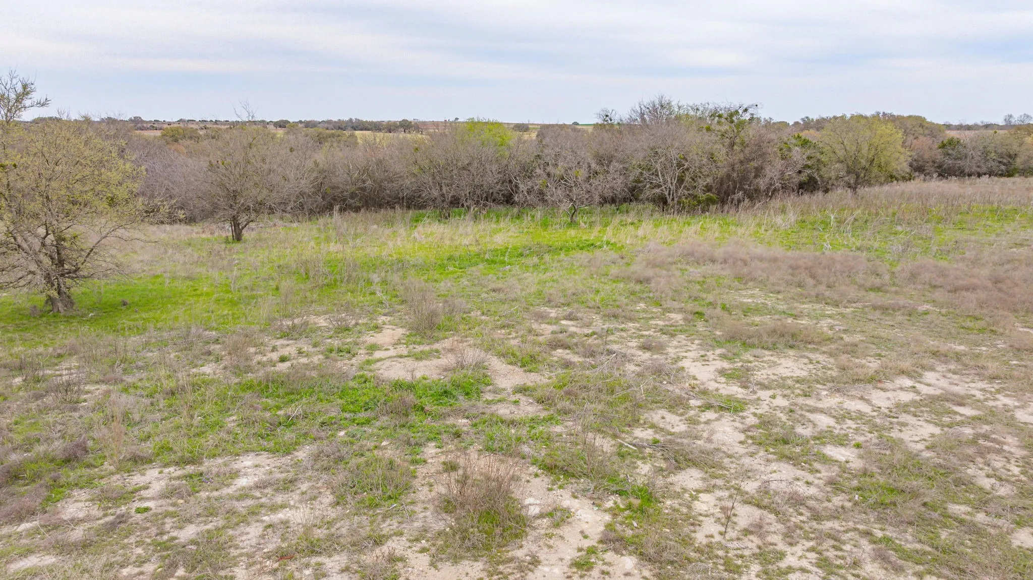 Unimproved Land For Sale in Erath County , TBD County Road 317, Dublin, Texas 76446, 0, 0, Garage spaces, 0 Sqft, built in 0, mls#21210579, Real Estate Agent in Dublin, Homes For Sale in Erath county, Homes For Sale in Dublin, Realtor in Dublin Texas, Real Estate Brokerage Independent Realty Texas, Luminita Cordes Realtor