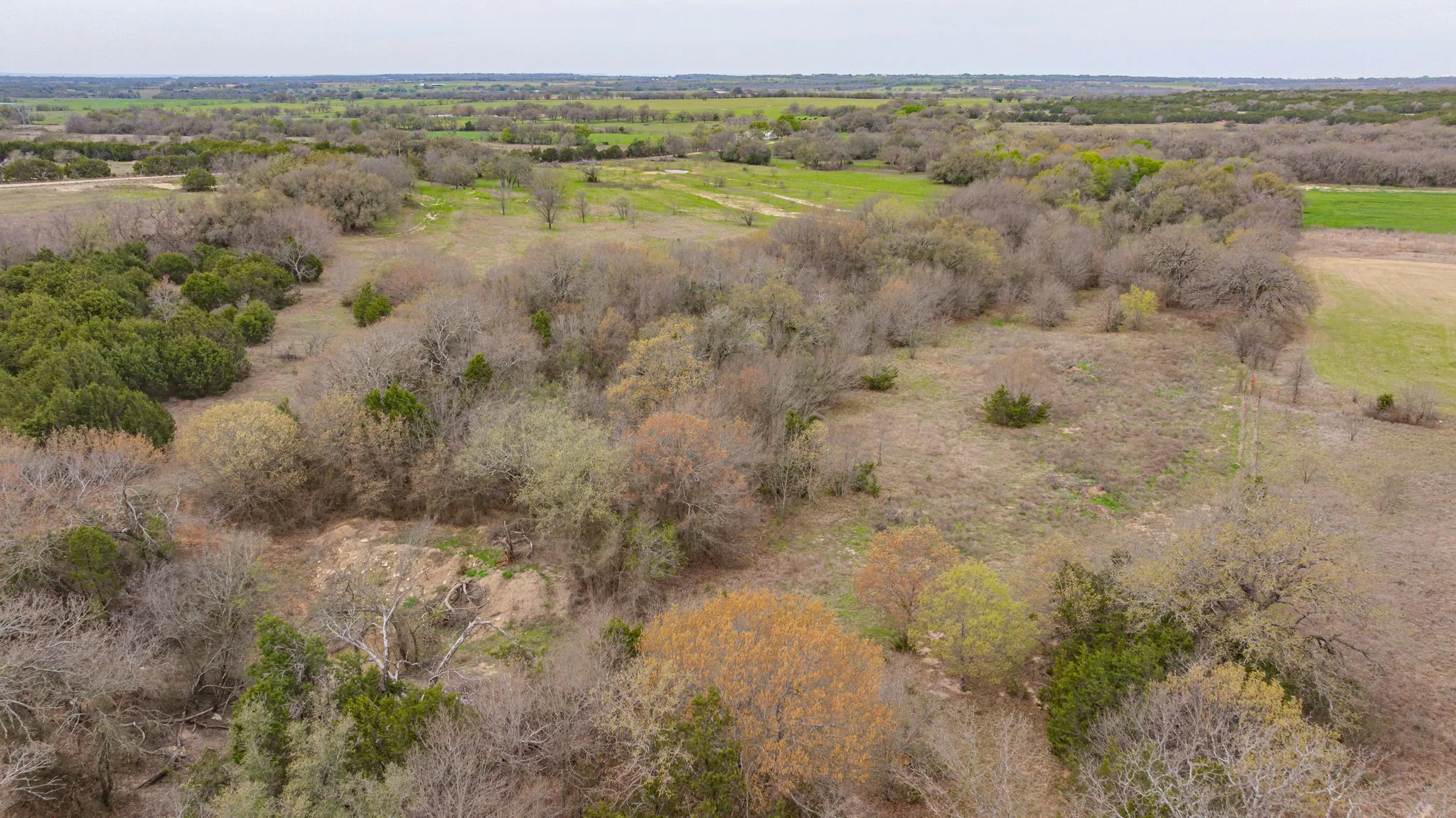 Unimproved Land For Sale in Erath County , TBD County Road 317, Dublin, Texas 76446, 0, 0, Garage spaces, 0 Sqft, built in 0, mls#21210579, Real Estate Agent in Dublin, Homes For Sale in Erath county, Homes For Sale in Dublin, Realtor in Dublin Texas, Real Estate Brokerage Independent Realty Texas, Luminita Cordes Realtor