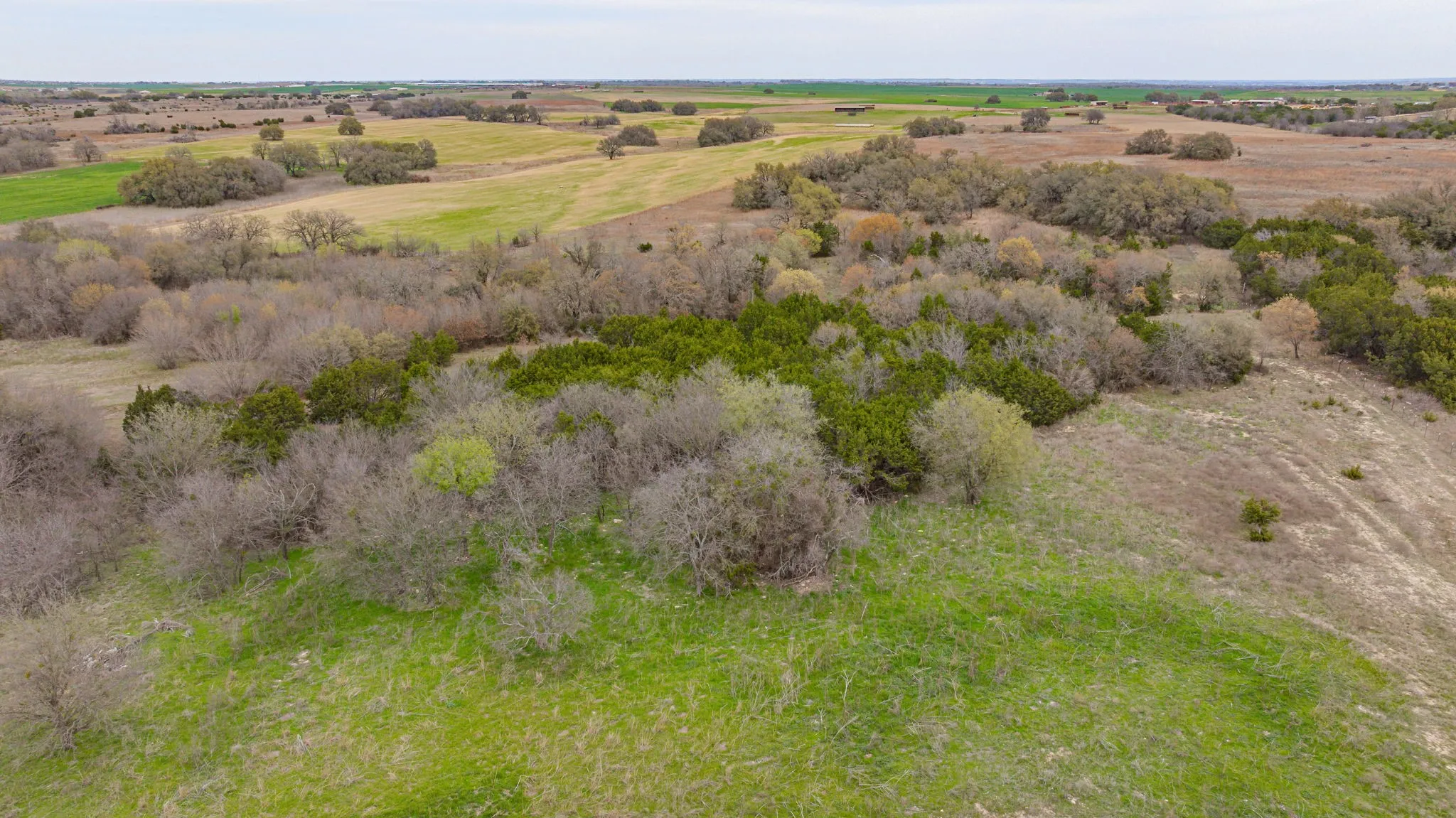 Unimproved Land For Sale in Erath County , TBD County Road 317, Dublin, Texas 76446, 0, 0, Garage spaces, 0 Sqft, built in 0, mls#21210579, Real Estate Agent in Dublin, Homes For Sale in Erath county, Homes For Sale in Dublin, Realtor in Dublin Texas, Real Estate Brokerage Independent Realty Texas, Luminita Cordes Realtor