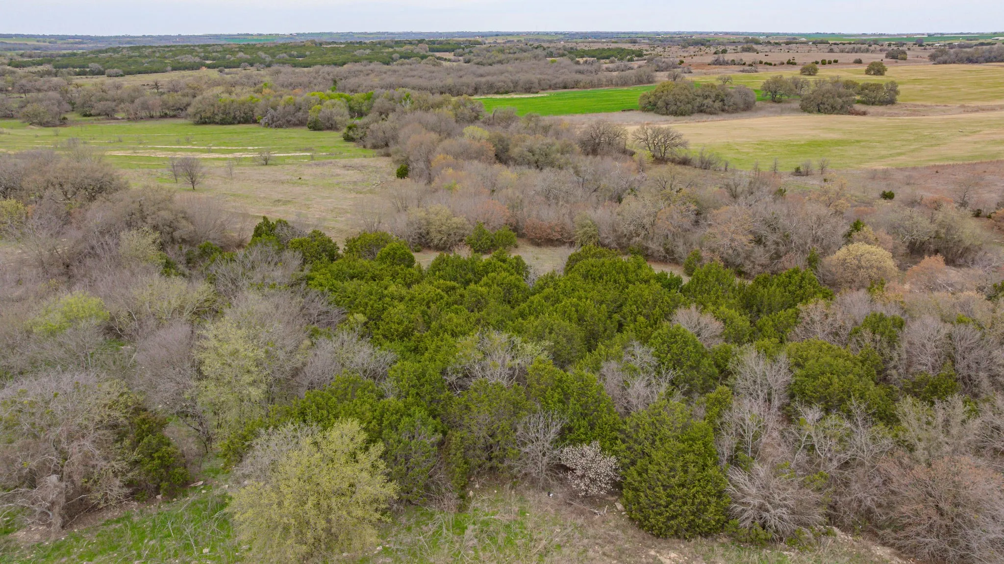 Unimproved Land For Sale in Erath County , TBD County Road 317, Dublin, Texas 76446, 0, 0, Garage spaces, 0 Sqft, built in 0, mls#21210579, Real Estate Agent in Dublin, Homes For Sale in Erath county, Homes For Sale in Dublin, Realtor in Dublin Texas, Real Estate Brokerage Independent Realty Texas, Luminita Cordes Realtor