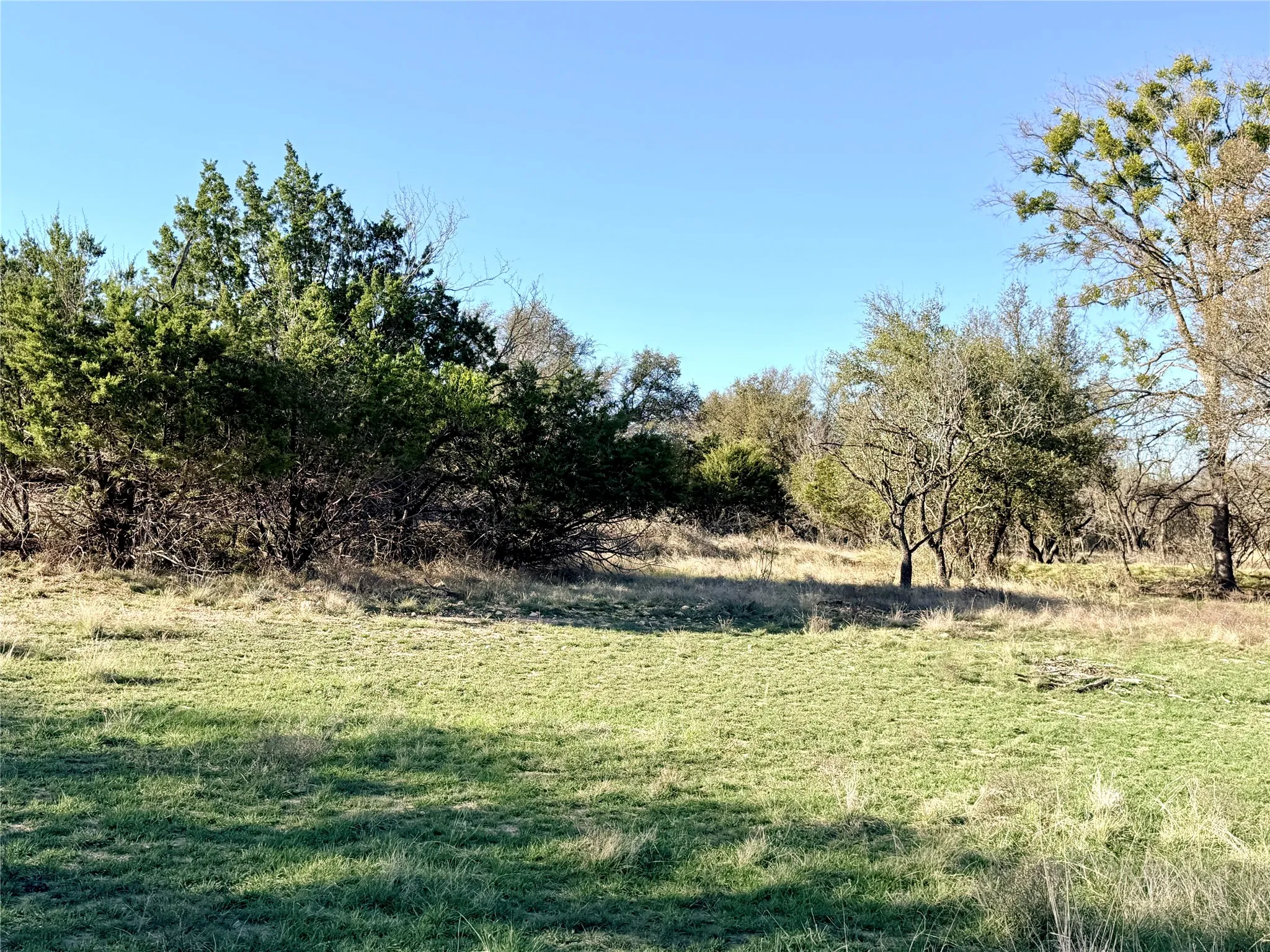 Ranch For Sale in Mills County , 65 County Road 406, Goldthwaite, Texas 76844, 0, 0, Garage spaces, 0 Sqft, built in 0, mls#21211101, Real Estate Agent in Goldthwaite, Homes For Sale in Mills county, Homes For Sale in Goldthwaite, Realtor in Goldthwaite Texas, Real Estate Brokerage Independent Realty Texas, Luminita Cordes Realtor
