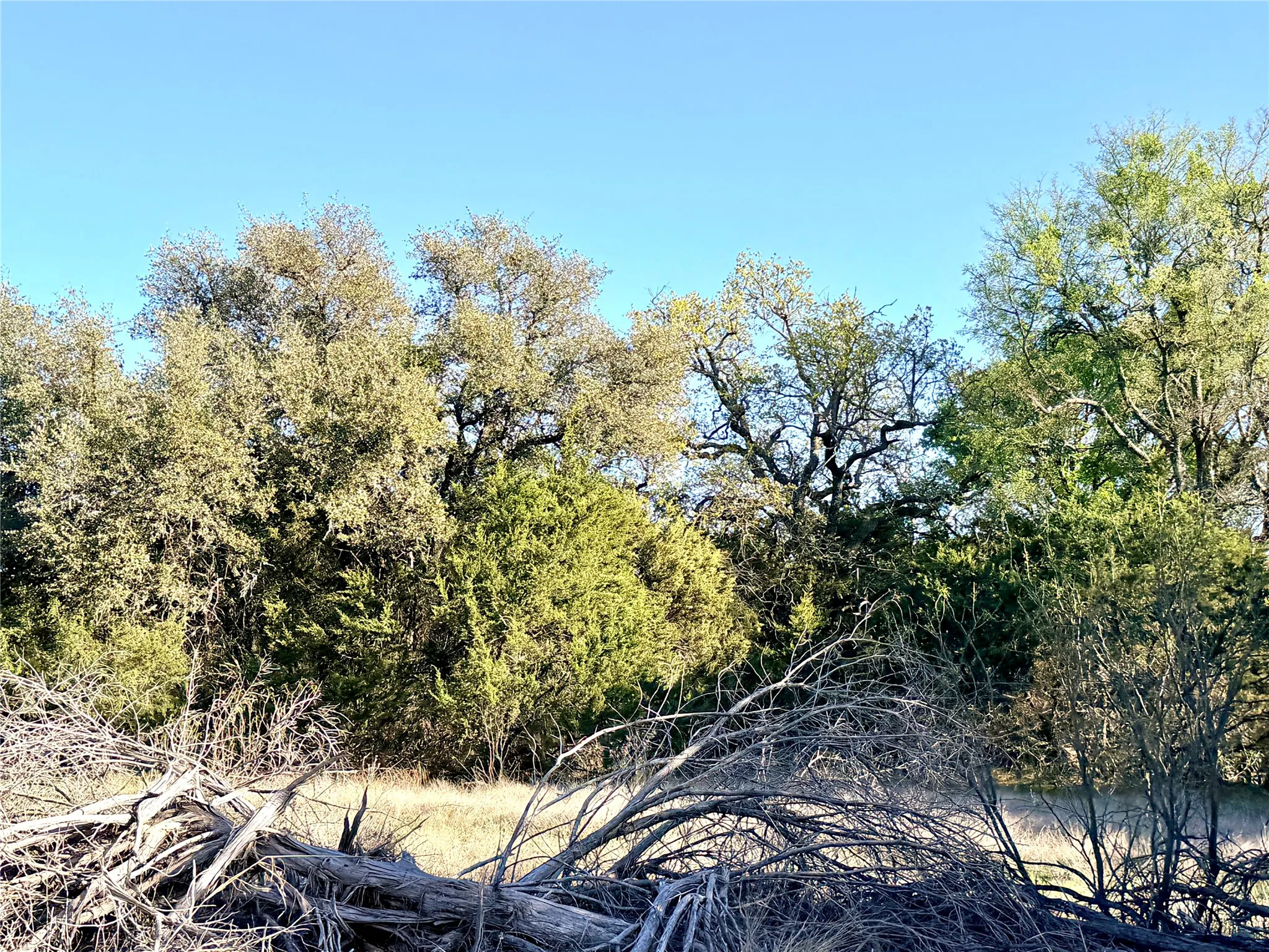 Ranch For Sale in Mills County , 65 County Road 406, Goldthwaite, Texas 76844, 0, 0, Garage spaces, 0 Sqft, built in 0, mls#21211101, Real Estate Agent in Goldthwaite, Homes For Sale in Mills county, Homes For Sale in Goldthwaite, Realtor in Goldthwaite Texas, Real Estate Brokerage Independent Realty Texas, Luminita Cordes Realtor
