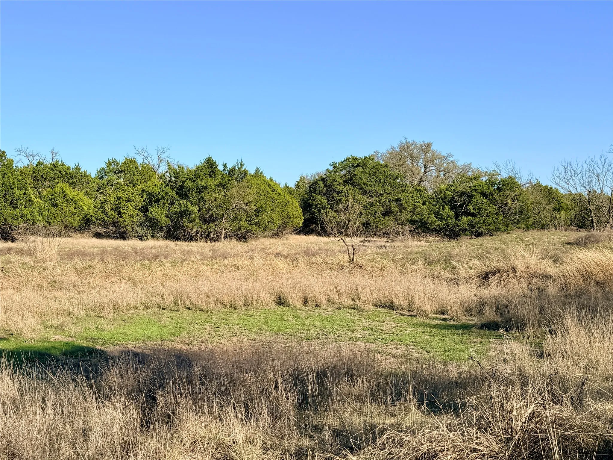 Ranch For Sale in Mills County , 65 County Road 406, Goldthwaite, Texas 76844, 0, 0, Garage spaces, 0 Sqft, built in 0, mls#21211101, Real Estate Agent in Goldthwaite, Homes For Sale in Mills county, Homes For Sale in Goldthwaite, Realtor in Goldthwaite Texas, Real Estate Brokerage Independent Realty Texas, Luminita Cordes Realtor