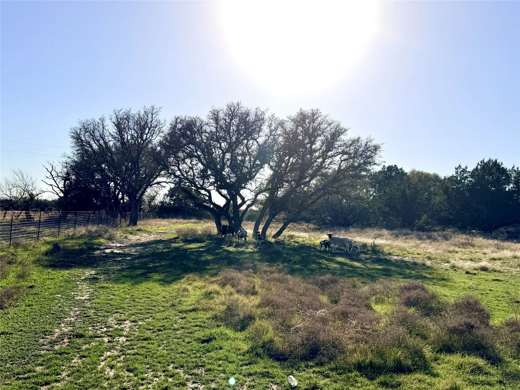 Ranch For Sale in Mills County , 65 County Road 406, Goldthwaite, Texas 76844, 0, 0, Garage spaces, 0 Sqft, built in 0, mls#21211101, Real Estate Agent in Goldthwaite, Homes For Sale in Mills county, Homes For Sale in Goldthwaite, Realtor in Goldthwaite Texas, Real Estate Brokerage Independent Realty Texas, Luminita Cordes Realtor