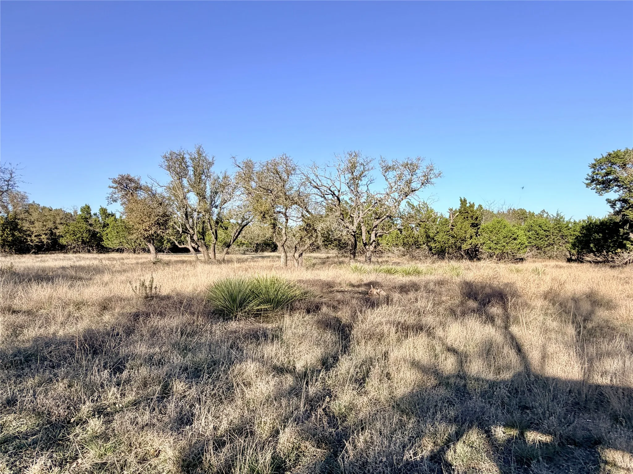 Ranch For Sale in Mills County , 65 County Road 406, Goldthwaite, Texas 76844, 0, 0, Garage spaces, 0 Sqft, built in 0, mls#21211101, Real Estate Agent in Goldthwaite, Homes For Sale in Mills county, Homes For Sale in Goldthwaite, Realtor in Goldthwaite Texas, Real Estate Brokerage Independent Realty Texas, Luminita Cordes Realtor
