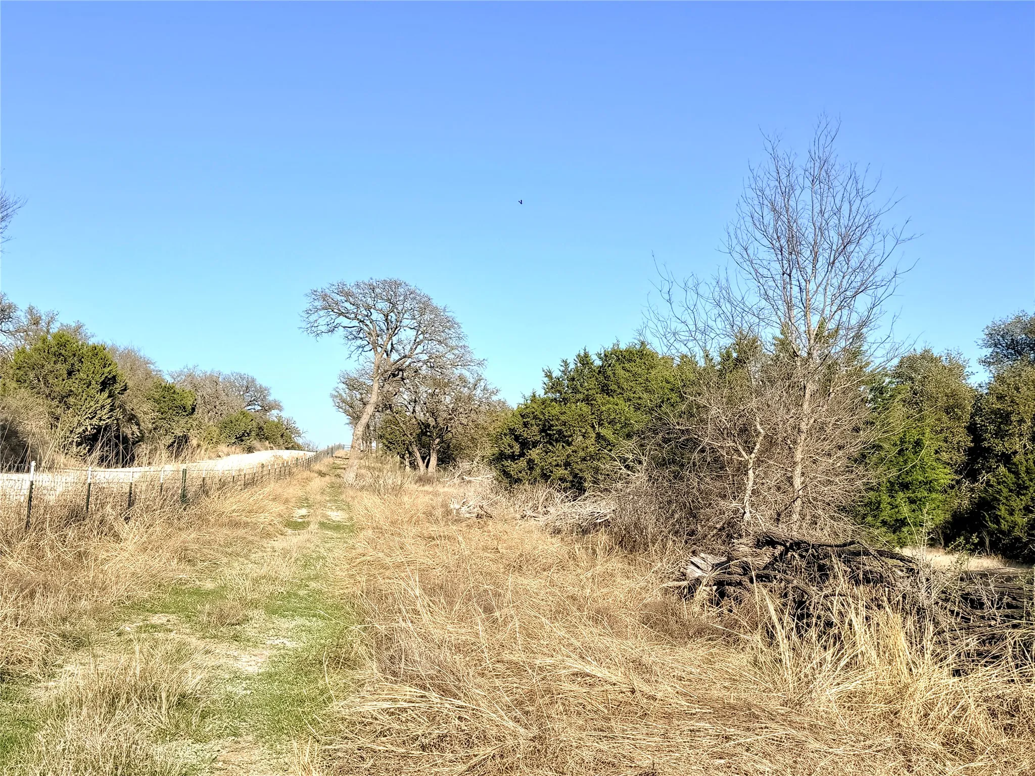 Ranch For Sale in Mills County , 65 County Road 406, Goldthwaite, Texas 76844, 0, 0, Garage spaces, 0 Sqft, built in 0, mls#21211101, Real Estate Agent in Goldthwaite, Homes For Sale in Mills county, Homes For Sale in Goldthwaite, Realtor in Goldthwaite Texas, Real Estate Brokerage Independent Realty Texas, Luminita Cordes Realtor