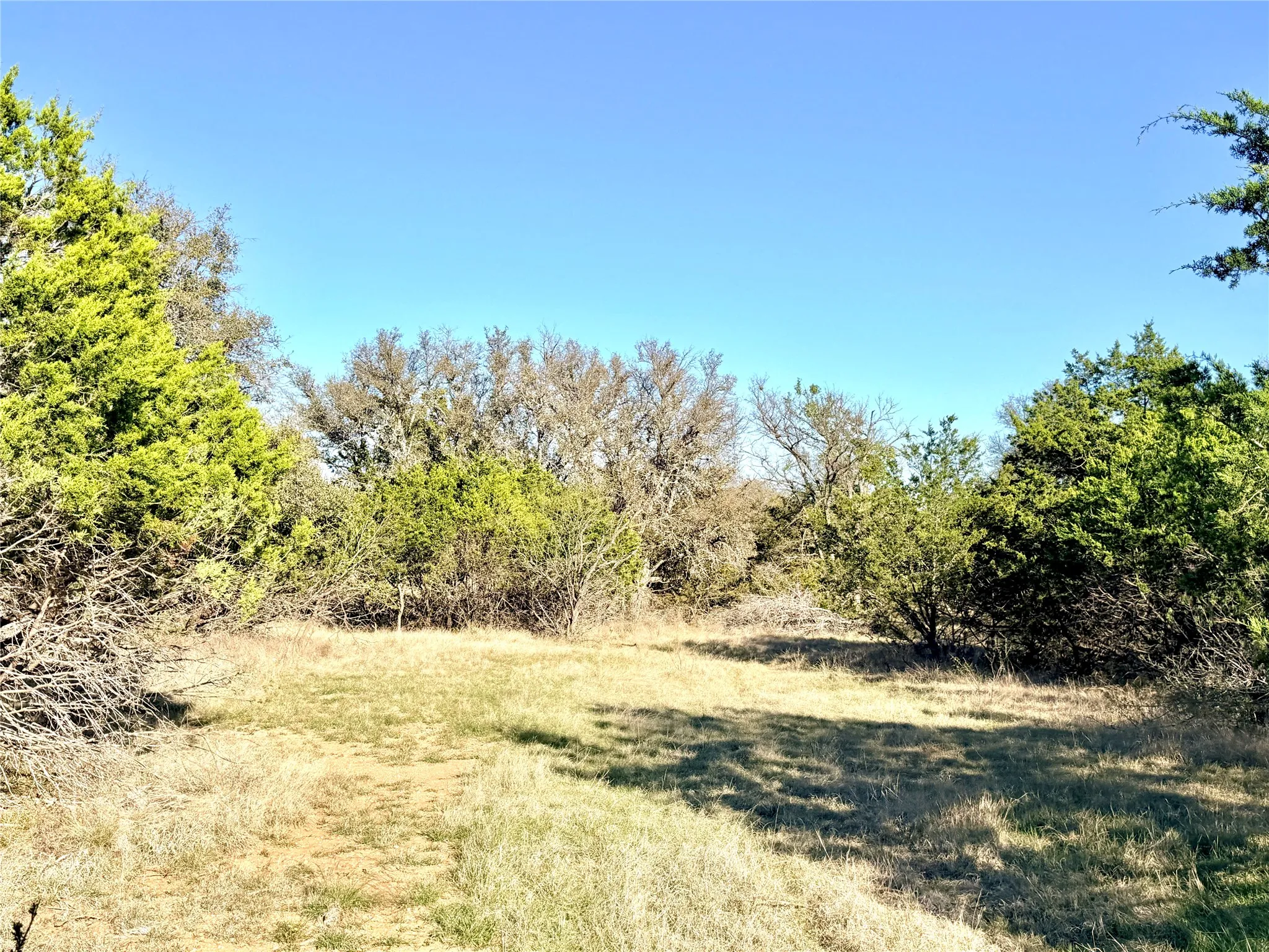 Ranch For Sale in Mills County , 65 County Road 406, Goldthwaite, Texas 76844, 0, 0, Garage spaces, 0 Sqft, built in 0, mls#21211101, Real Estate Agent in Goldthwaite, Homes For Sale in Mills county, Homes For Sale in Goldthwaite, Realtor in Goldthwaite Texas, Real Estate Brokerage Independent Realty Texas, Luminita Cordes Realtor