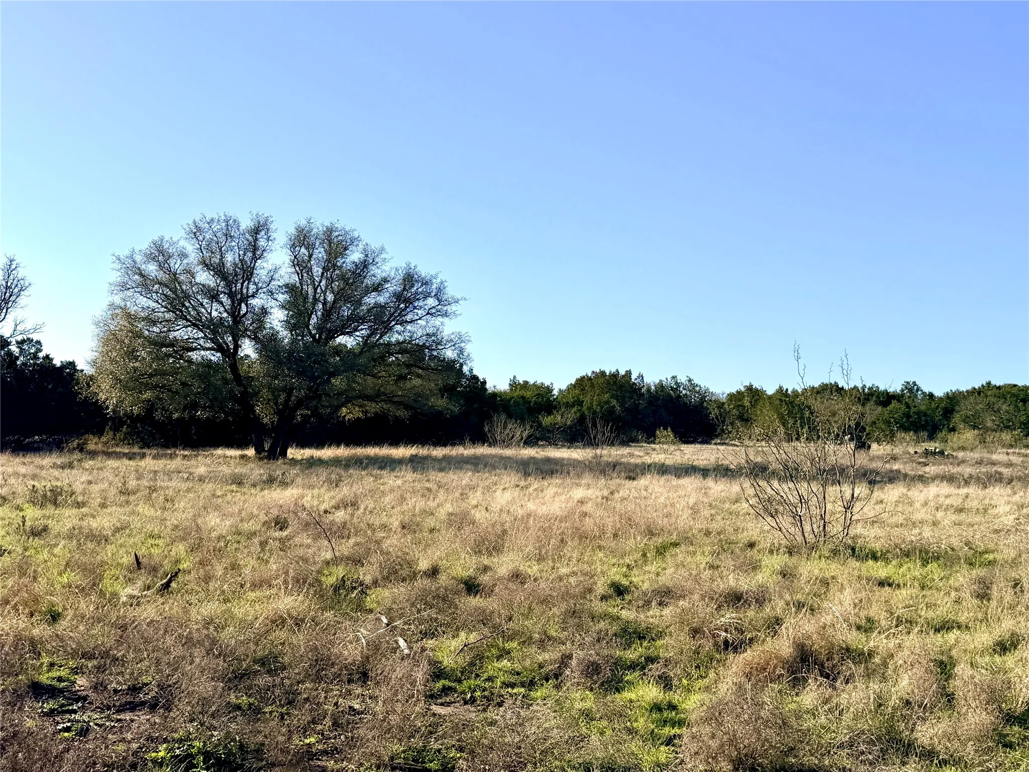 Ranch For Sale in Mills County , 65 County Road 406, Goldthwaite, Texas 76844, 0, 0, Garage spaces, 0 Sqft, built in 0, mls#21211101, Real Estate Agent in Goldthwaite, Homes For Sale in Mills county, Homes For Sale in Goldthwaite, Realtor in Goldthwaite Texas, Real Estate Brokerage Independent Realty Texas, Luminita Cordes Realtor