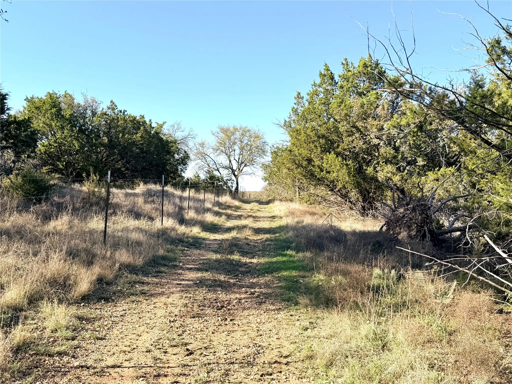 Ranch For Sale in Mills County , 65 County Road 406, Goldthwaite, Texas 76844, 0, 0, Garage spaces, 0 Sqft, built in 0, mls#21211101, Real Estate Agent in Goldthwaite, Homes For Sale in Mills county, Homes For Sale in Goldthwaite, Realtor in Goldthwaite Texas, Real Estate Brokerage Independent Realty Texas, Luminita Cordes Realtor