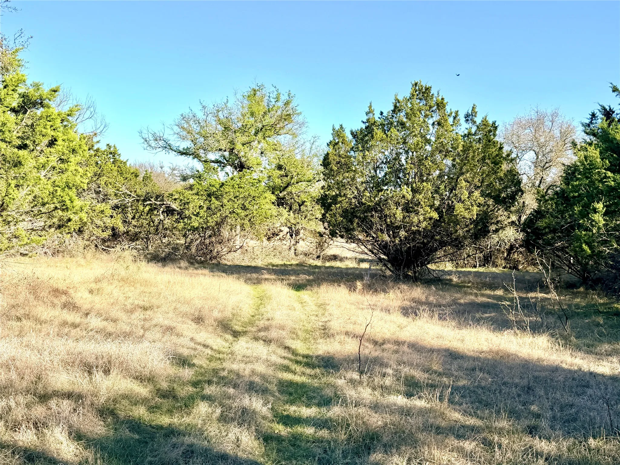 Ranch For Sale in Mills County , 65 County Road 406, Goldthwaite, Texas 76844, 0, 0, Garage spaces, 0 Sqft, built in 0, mls#21211101, Real Estate Agent in Goldthwaite, Homes For Sale in Mills county, Homes For Sale in Goldthwaite, Realtor in Goldthwaite Texas, Real Estate Brokerage Independent Realty Texas, Luminita Cordes Realtor