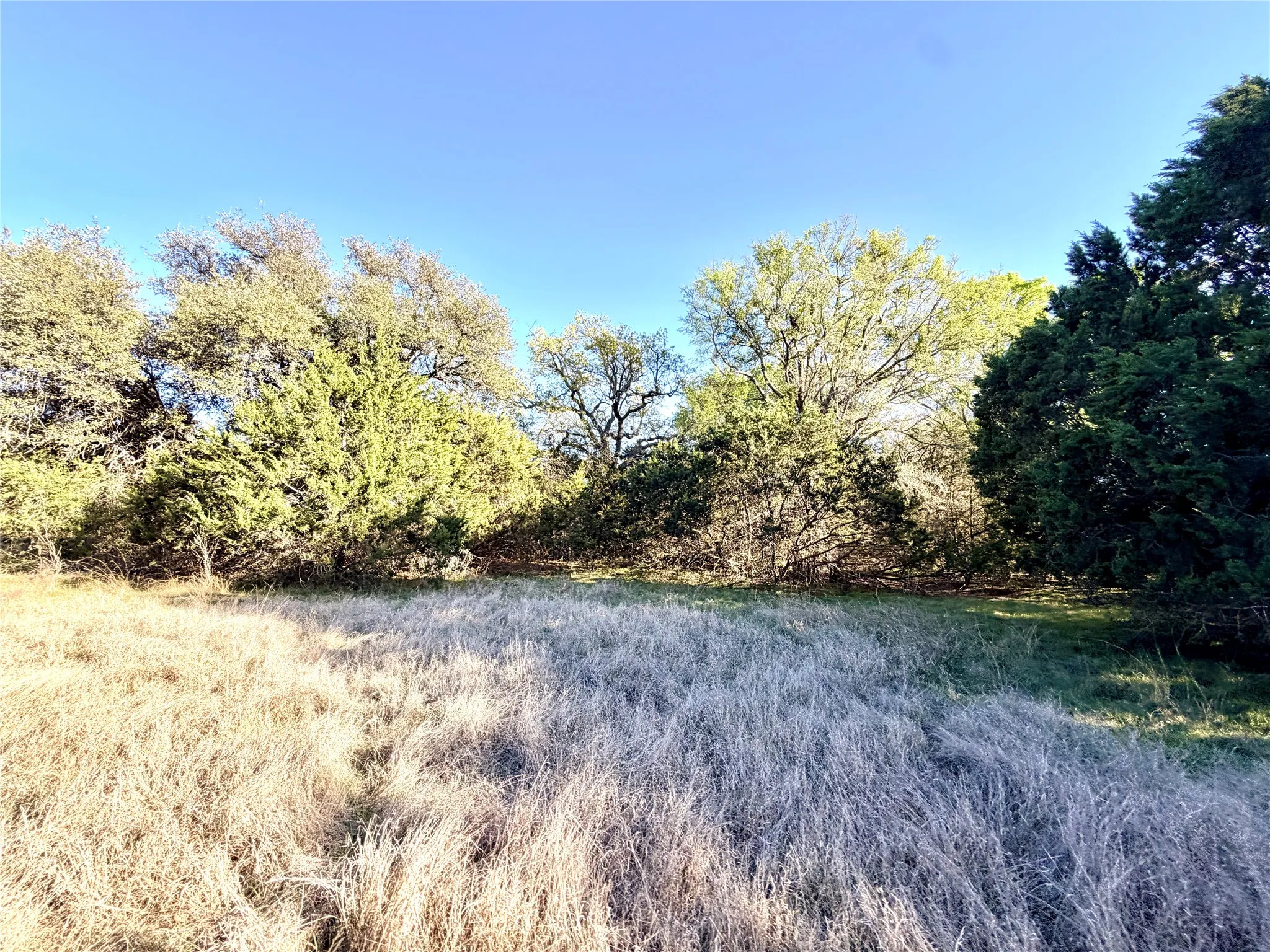 Ranch For Sale in Mills County , 65 County Road 406, Goldthwaite, Texas 76844, 0, 0, Garage spaces, 0 Sqft, built in 0, mls#21211101, Real Estate Agent in Goldthwaite, Homes For Sale in Mills county, Homes For Sale in Goldthwaite, Realtor in Goldthwaite Texas, Real Estate Brokerage Independent Realty Texas, Luminita Cordes Realtor
