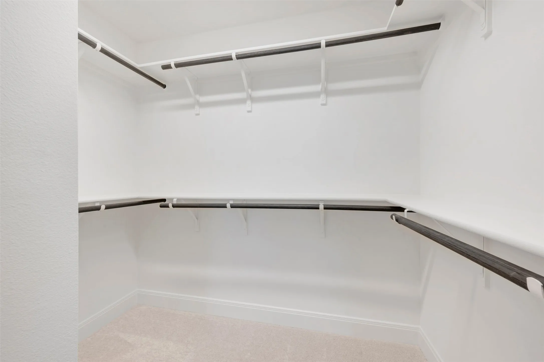 Walk-in closet featuring light-toned carpeting, white walls, multiple built-in shelving units, and dark-finish clothing rods