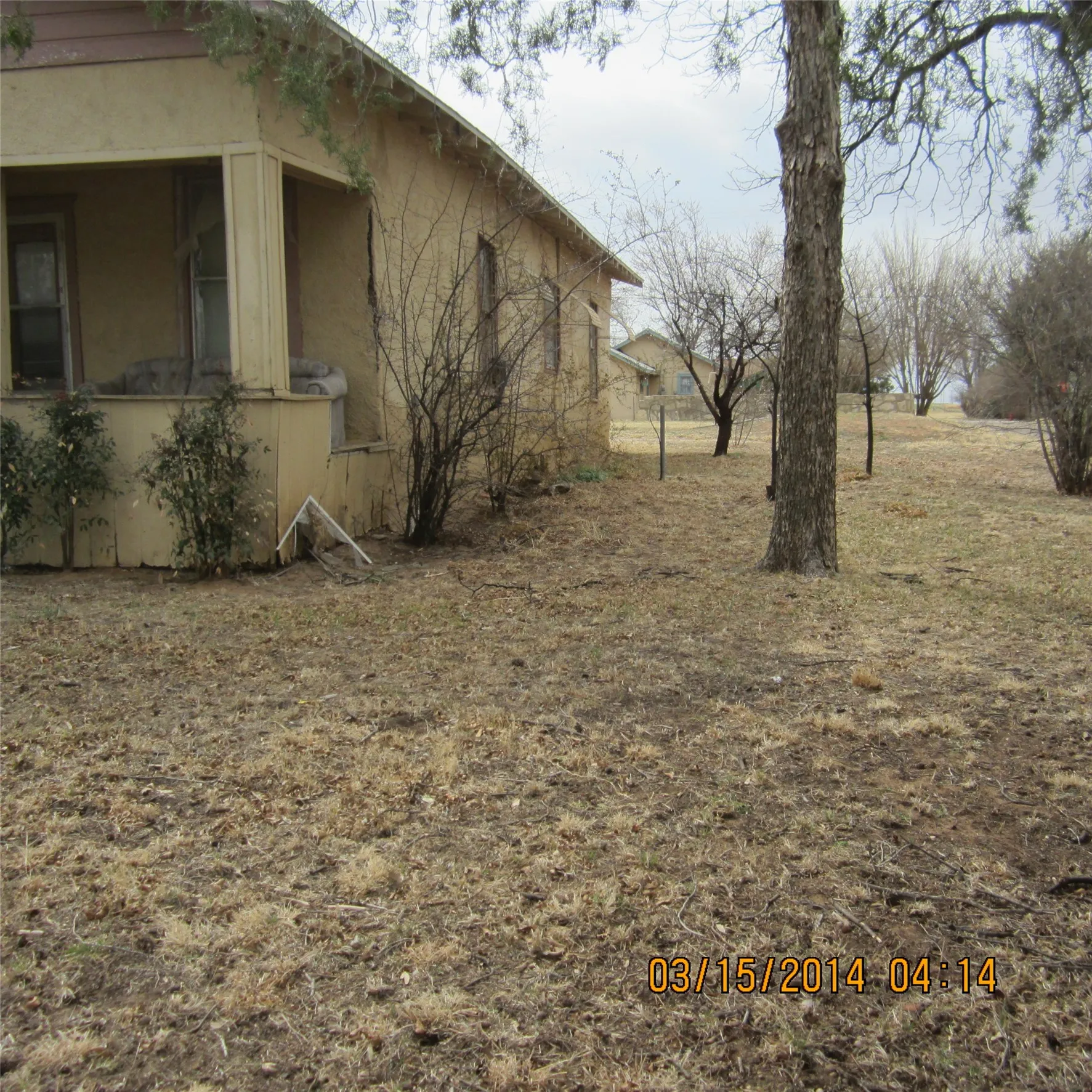 Side Yard