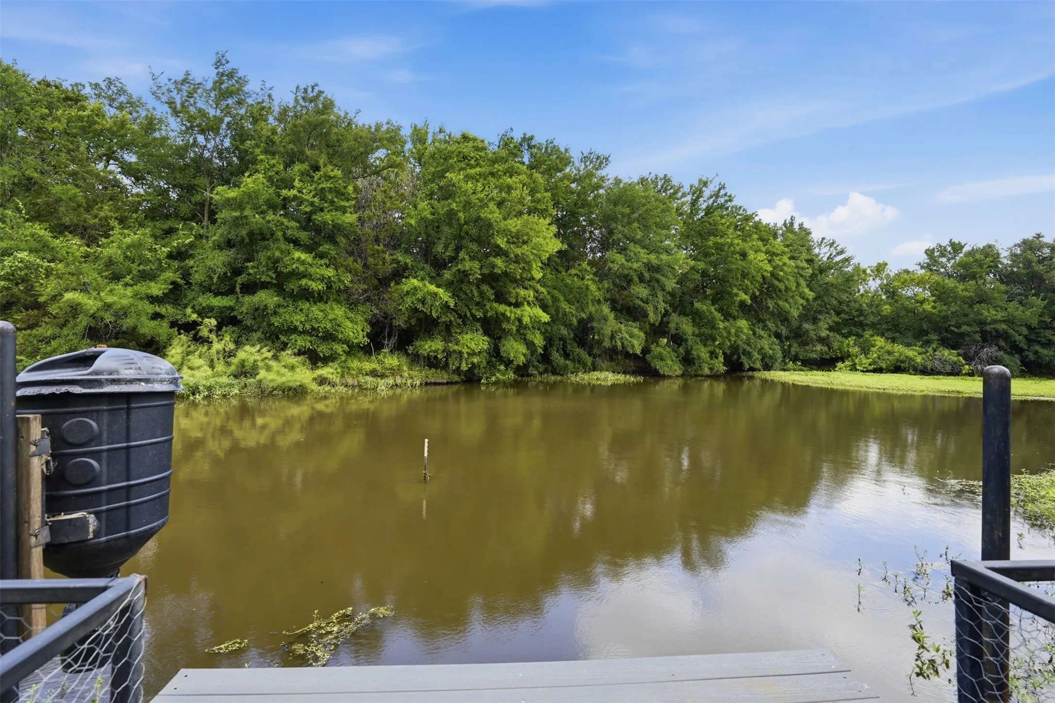 Dock with fish feeder.