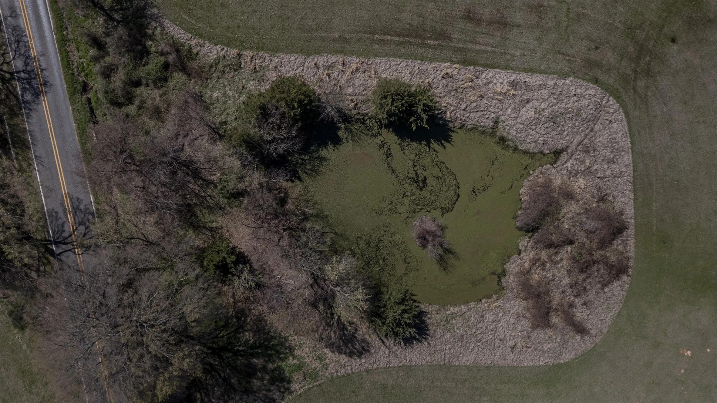 Farm For Sale in Fannin County , 267 County Road 2150, Telephone, Texas 75446, 3 Bedroom, 2 Bathroom, Garage spaces, 1,596 Sqft, built in 2000, mls#21211256, Real Estate Agent in Telephone, Homes For Sale in Fannin county, Homes For Sale in Telephone, Realtor in Telephone Texas, Real Estate Brokerage Independent Realty Texas, Luminita Cordes Realtor