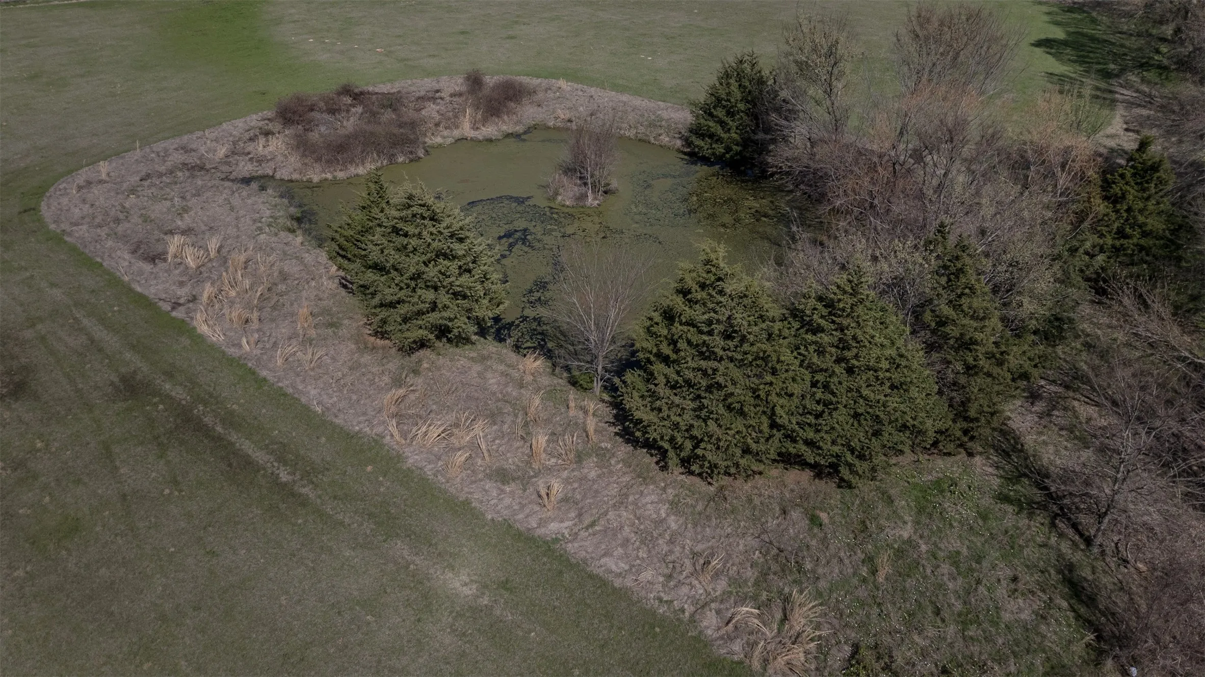Farm For Sale in Fannin County , 267 County Road 2150, Telephone, Texas 75446, 3 Bedroom, 2 Bathroom, Garage spaces, 1,596 Sqft, built in 2000, mls#21211256, Real Estate Agent in Telephone, Homes For Sale in Fannin county, Homes For Sale in Telephone, Realtor in Telephone Texas, Real Estate Brokerage Independent Realty Texas, Luminita Cordes Realtor