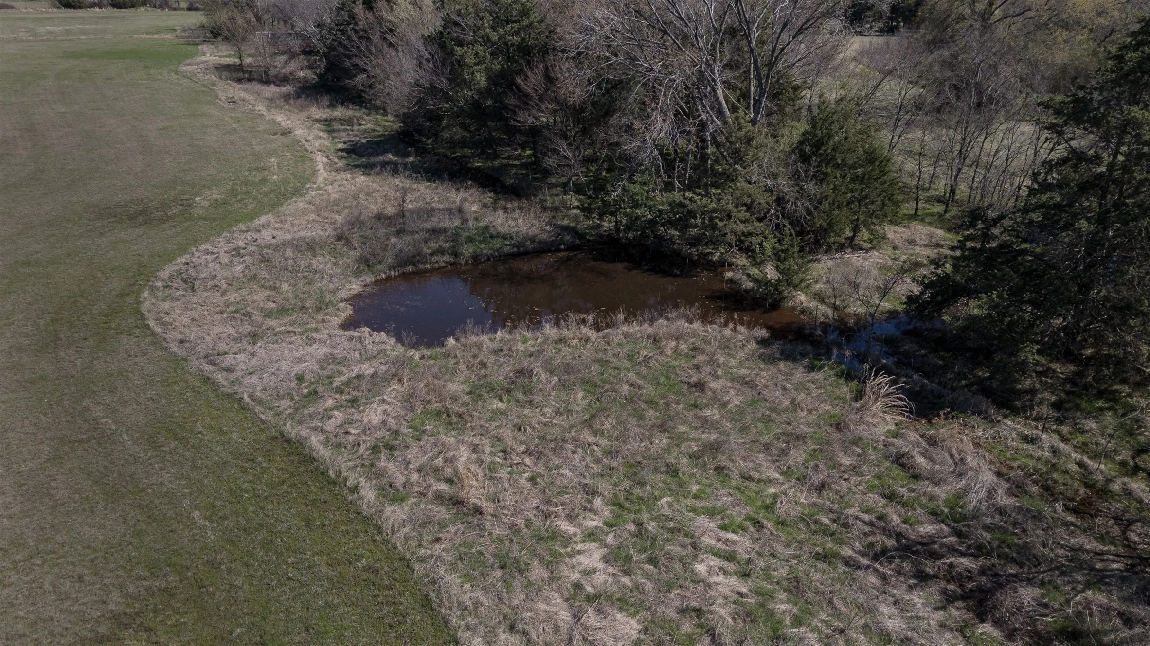 Farm For Sale in Fannin County , 267 County Road 2150, Telephone, Texas 75446, 3 Bedroom, 2 Bathroom, Garage spaces, 1,596 Sqft, built in 2000, mls#21211256, Real Estate Agent in Telephone, Homes For Sale in Fannin county, Homes For Sale in Telephone, Realtor in Telephone Texas, Real Estate Brokerage Independent Realty Texas, Luminita Cordes Realtor