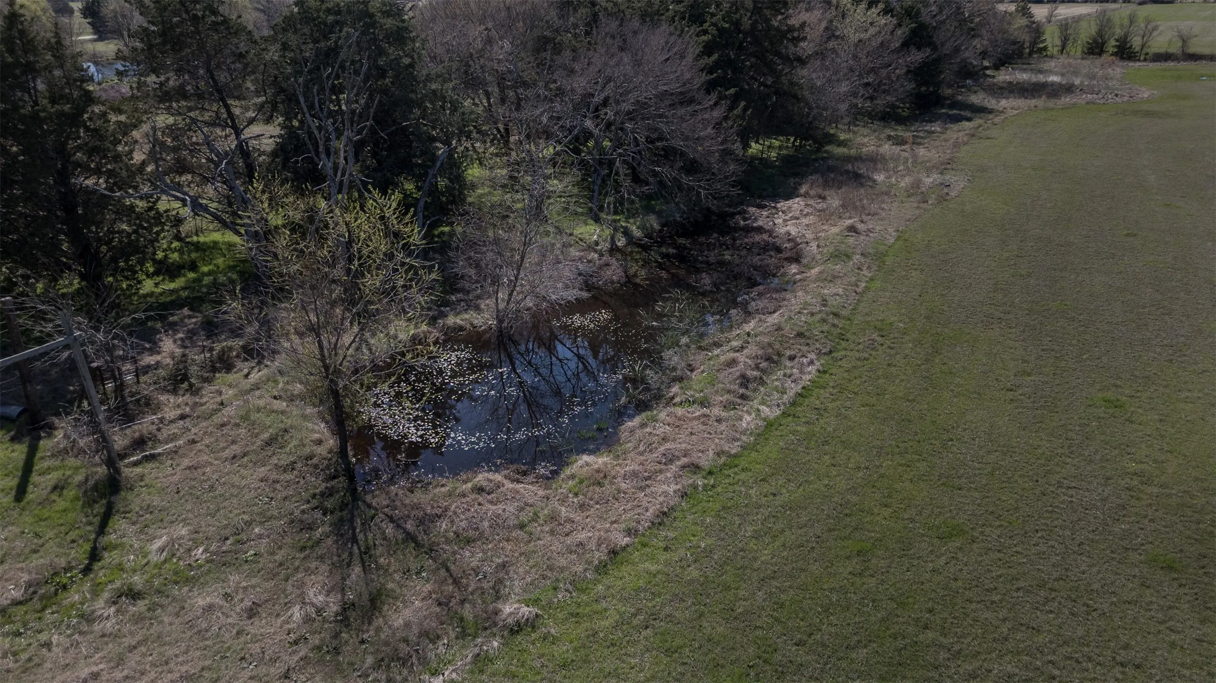 Farm For Sale in Fannin County , 267 County Road 2150, Telephone, Texas 75446, 3 Bedroom, 2 Bathroom, Garage spaces, 1,596 Sqft, built in 2000, mls#21211256, Real Estate Agent in Telephone, Homes For Sale in Fannin county, Homes For Sale in Telephone, Realtor in Telephone Texas, Real Estate Brokerage Independent Realty Texas, Luminita Cordes Realtor