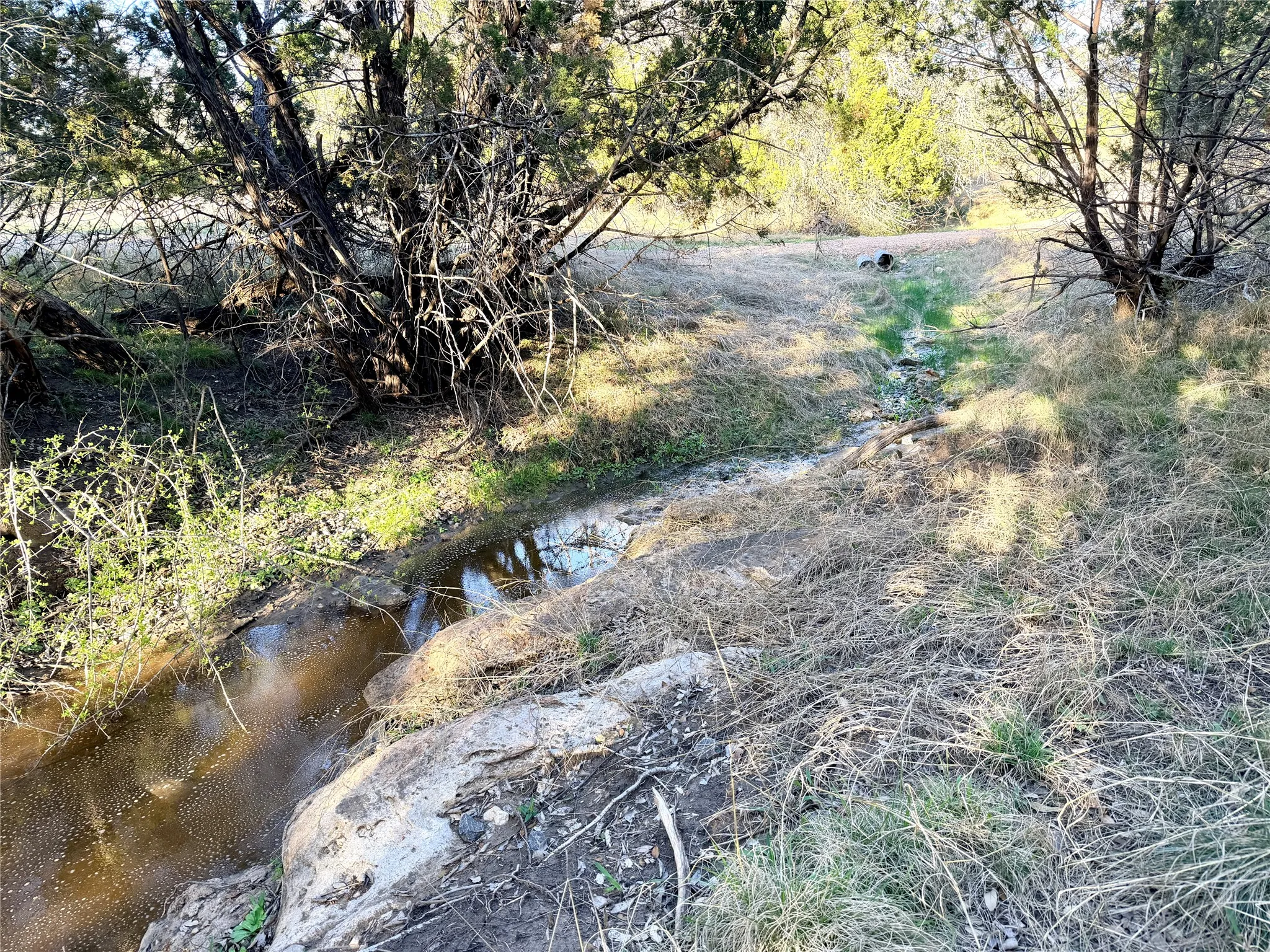 Ranch For Sale in Mills County , 65 CR 406, Goldthwaite, Texas 76844, 0, 0, Garage spaces, 0 Sqft, built in 0, Price $589,172, mls#21211206, Real Estate Agent in Goldthwaite, Homes For Sale in Mills county, Homes For Sale in Goldthwaite, Realtor in Goldthwaite Texas, Real Estate Brokerage Independent Realty Texas, Luminita Cordes Realtor