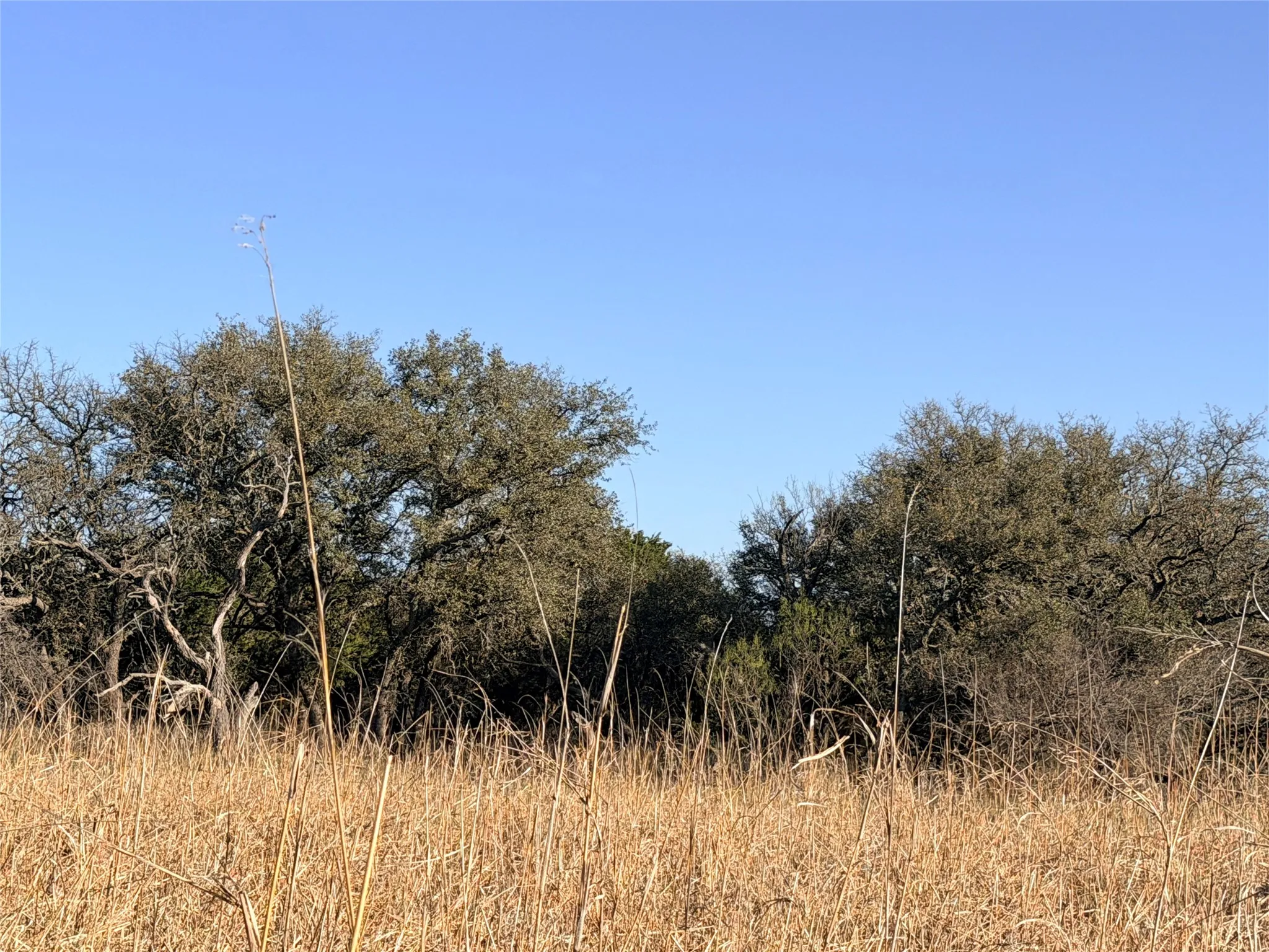 Ranch For Sale in Mills County , 65 CR 406, Goldthwaite, Texas 76844, 0, 0, Garage spaces, 0 Sqft, built in 0, Price $589,172, mls#21211206, Real Estate Agent in Goldthwaite, Homes For Sale in Mills county, Homes For Sale in Goldthwaite, Realtor in Goldthwaite Texas, Real Estate Brokerage Independent Realty Texas, Luminita Cordes Realtor