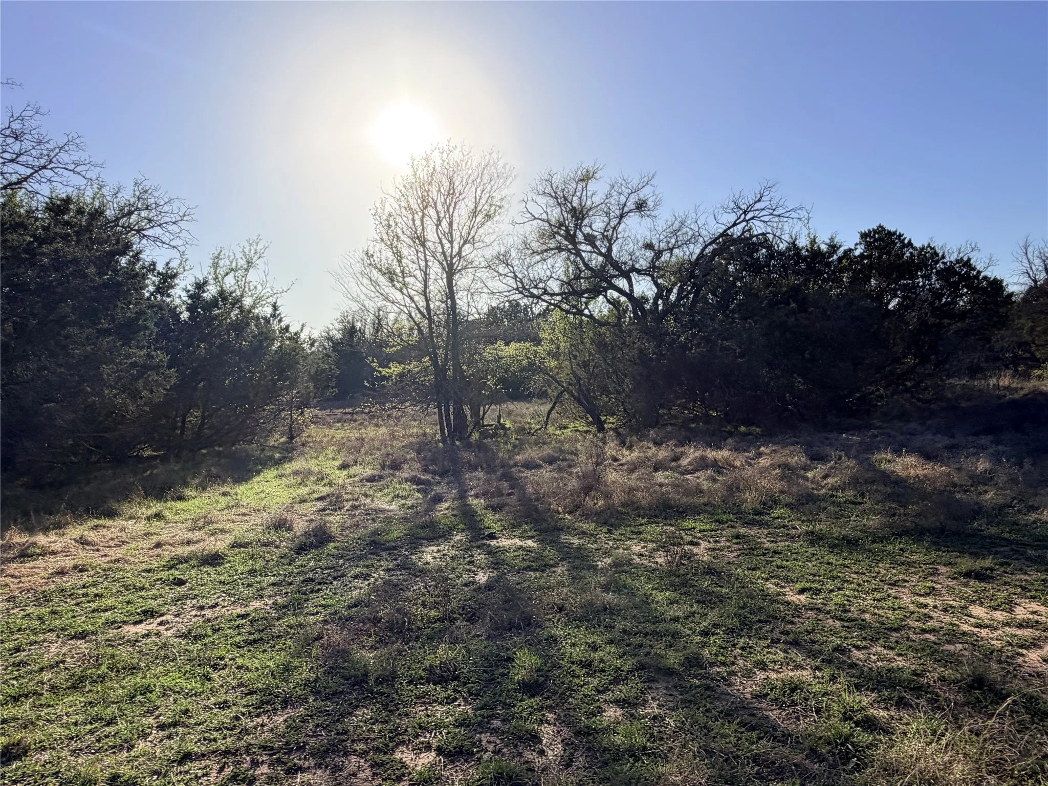 Ranch For Sale in Mills County , 65 CR 406, Goldthwaite, Texas 76844, 0, 0, Garage spaces, 0 Sqft, built in 0, Price $589,172, mls#21211206, Real Estate Agent in Goldthwaite, Homes For Sale in Mills county, Homes For Sale in Goldthwaite, Realtor in Goldthwaite Texas, Real Estate Brokerage Independent Realty Texas, Luminita Cordes Realtor