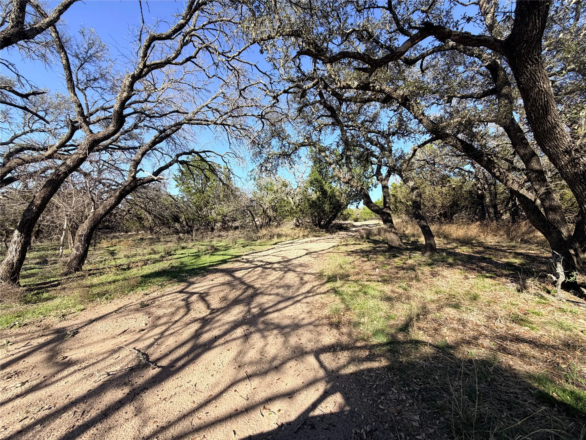 Ranch For Sale in Mills County , 65 CR 406, Goldthwaite, Texas 76844, 0, 0, Garage spaces, 0 Sqft, built in 0, Price $589,172, mls#21211206, Real Estate Agent in Goldthwaite, Homes For Sale in Mills county, Homes For Sale in Goldthwaite, Realtor in Goldthwaite Texas, Real Estate Brokerage Independent Realty Texas, Luminita Cordes Realtor