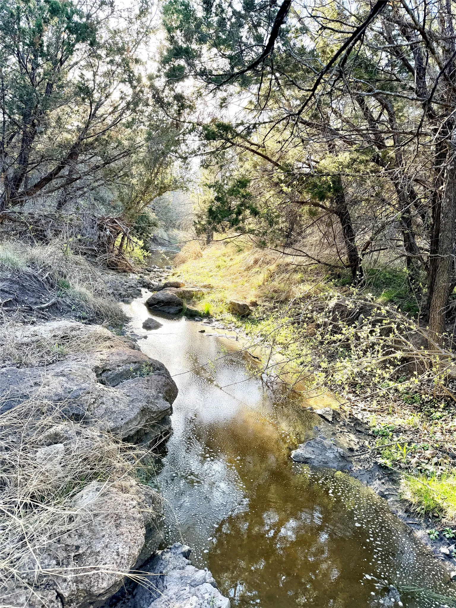 Ranch For Sale in Mills County , 65 CR 406, Goldthwaite, Texas 76844, 0, 0, Garage spaces, 0 Sqft, built in 0, Price $589,172, mls#21211206, Real Estate Agent in Goldthwaite, Homes For Sale in Mills county, Homes For Sale in Goldthwaite, Realtor in Goldthwaite Texas, Real Estate Brokerage Independent Realty Texas, Luminita Cordes Realtor