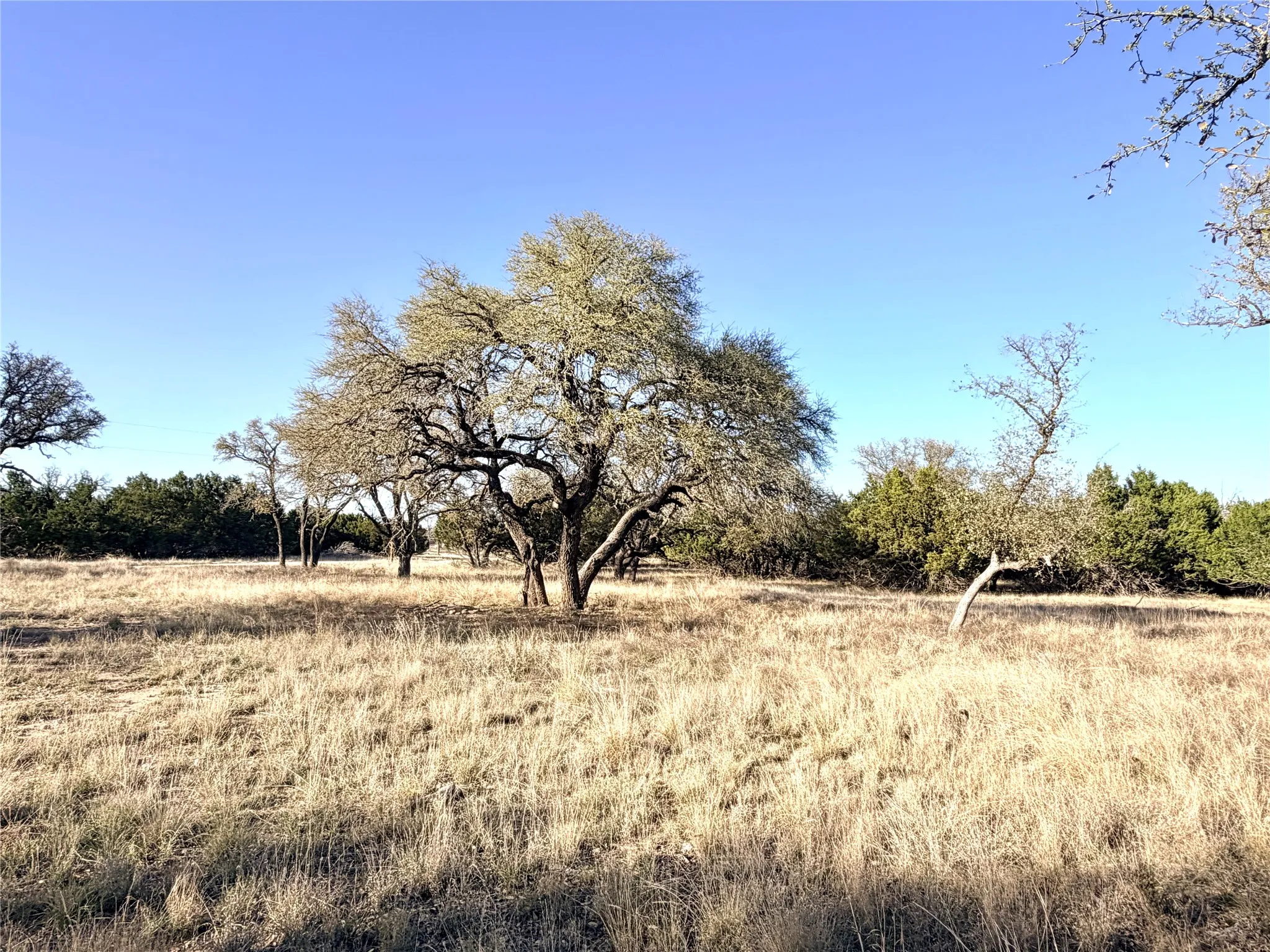 Ranch For Sale in Mills County , 65 CR 406, Goldthwaite, Texas 76844, 0, 0, Garage spaces, 0 Sqft, built in 0, Price $589,172, mls#21211206, Real Estate Agent in Goldthwaite, Homes For Sale in Mills county, Homes For Sale in Goldthwaite, Realtor in Goldthwaite Texas, Real Estate Brokerage Independent Realty Texas, Luminita Cordes Realtor
