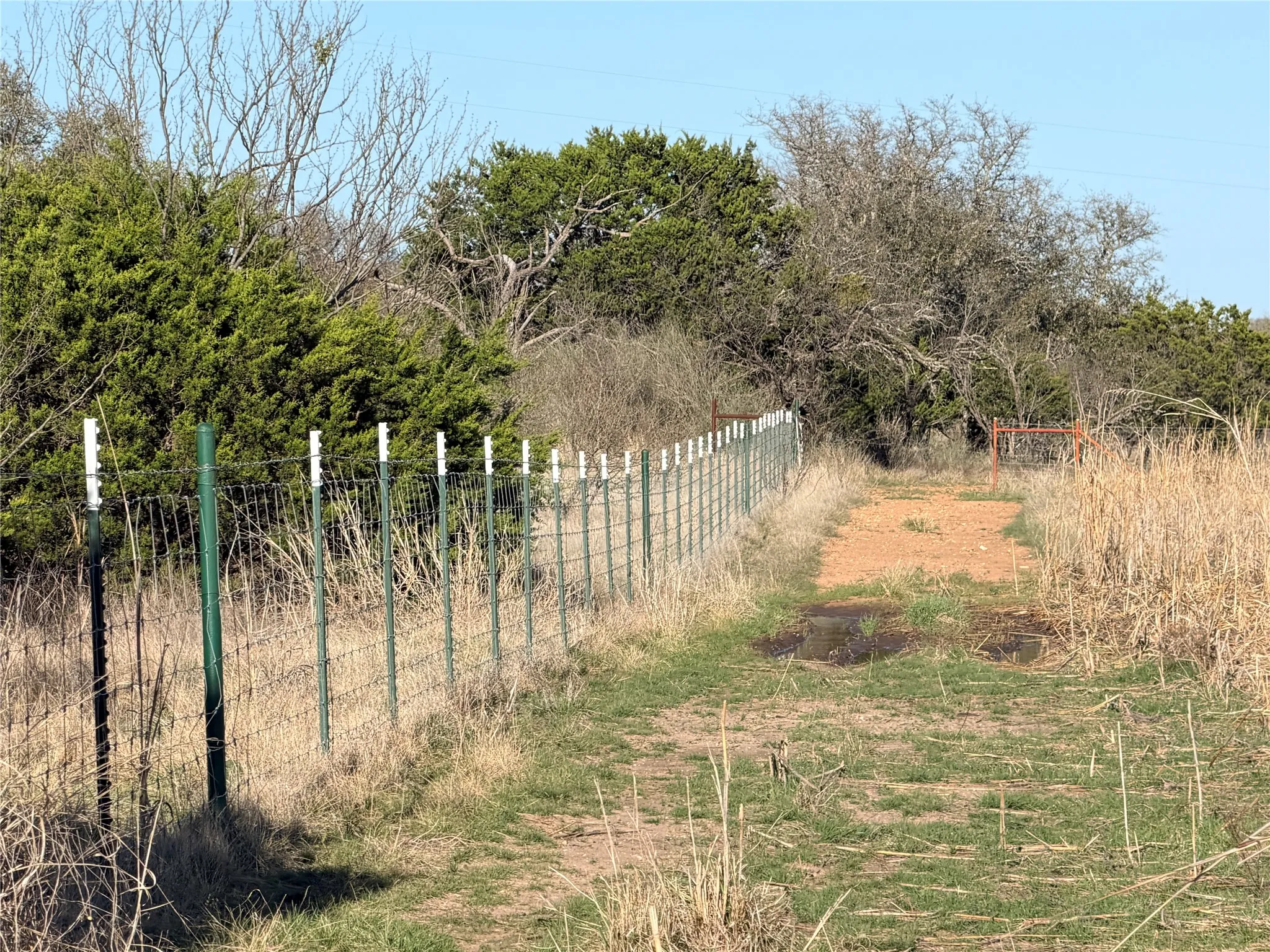 Ranch For Sale in Mills County , 65 CR 406, Goldthwaite, Texas 76844, 0, 0, Garage spaces, 0 Sqft, built in 0, Price $589,172, mls#21211206, Real Estate Agent in Goldthwaite, Homes For Sale in Mills county, Homes For Sale in Goldthwaite, Realtor in Goldthwaite Texas, Real Estate Brokerage Independent Realty Texas, Luminita Cordes Realtor