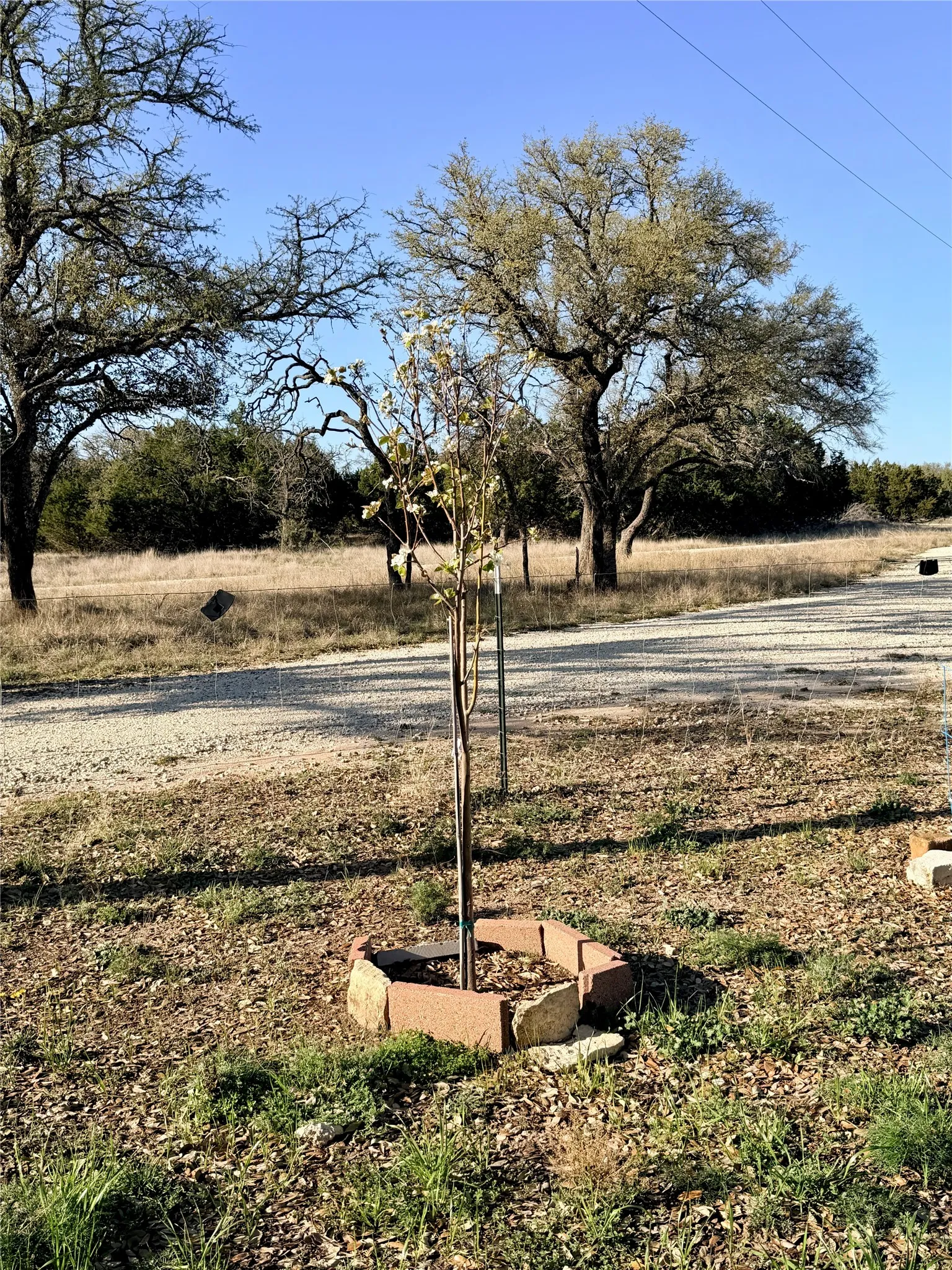 Ranch For Sale in Mills County , 65 CR 406, Goldthwaite, Texas 76844, 0, 0, Garage spaces, 0 Sqft, built in 0, Price $589,172, mls#21211206, Real Estate Agent in Goldthwaite, Homes For Sale in Mills county, Homes For Sale in Goldthwaite, Realtor in Goldthwaite Texas, Real Estate Brokerage Independent Realty Texas, Luminita Cordes Realtor