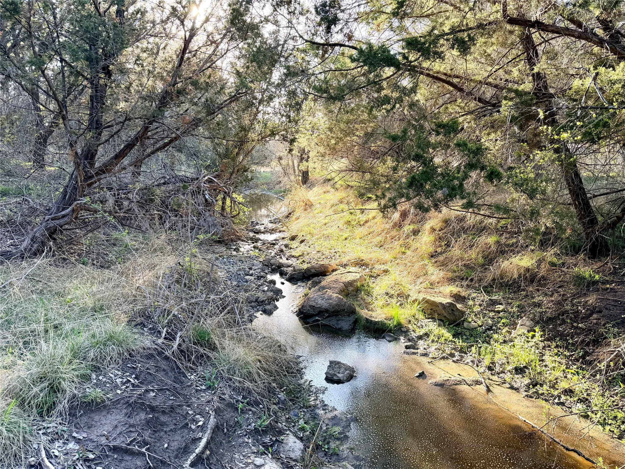 Ranch For Sale in Mills County , 65 CR 406, Goldthwaite, Texas 76844, 0, 0, Garage spaces, 0 Sqft, built in 0, Price $589,172, mls#21211206, Real Estate Agent in Goldthwaite, Homes For Sale in Mills county, Homes For Sale in Goldthwaite, Realtor in Goldthwaite Texas, Real Estate Brokerage Independent Realty Texas, Luminita Cordes Realtor
