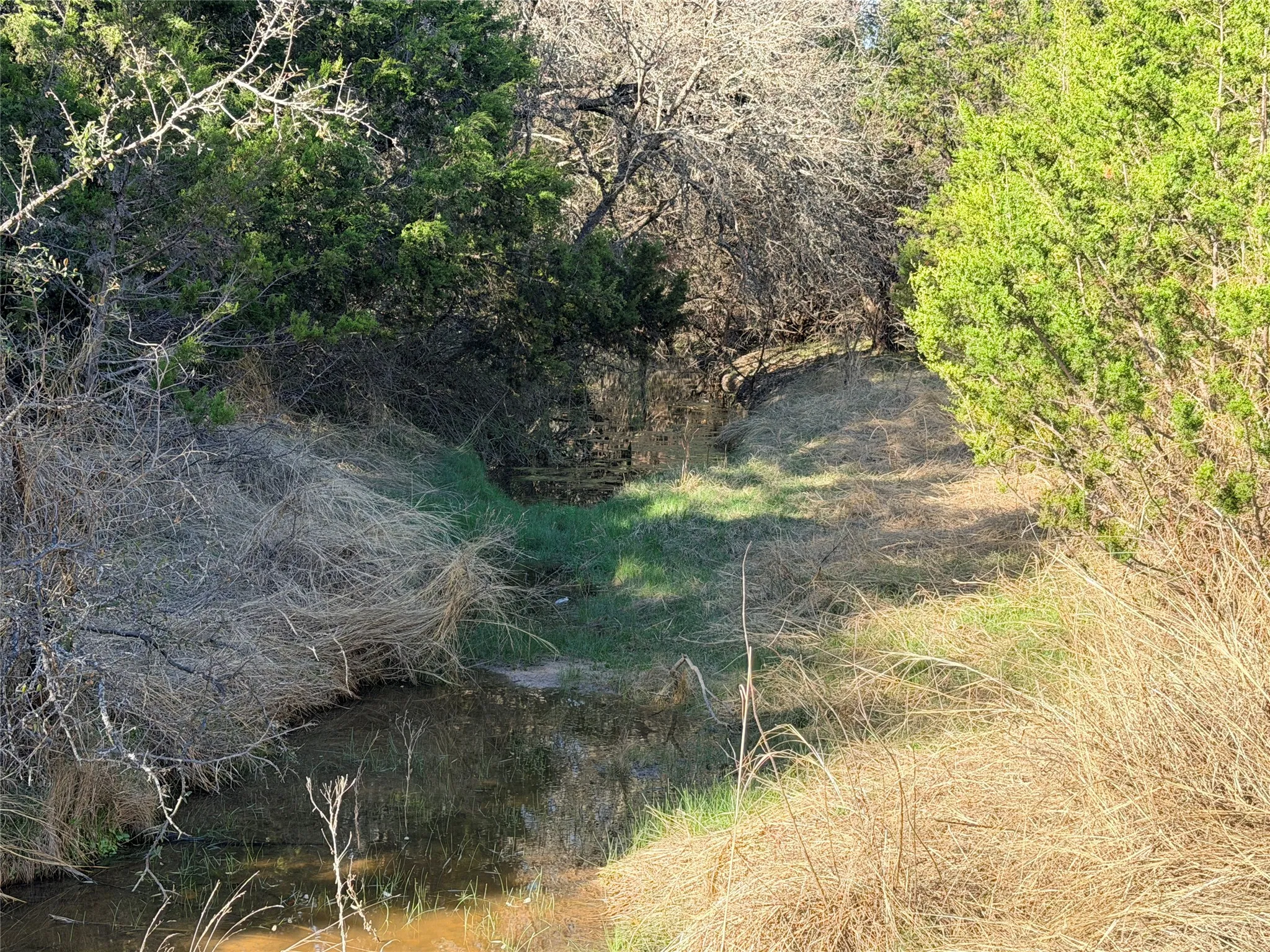 Ranch For Sale in Mills County , 65 CR 406, Goldthwaite, Texas 76844, 0, 0, Garage spaces, 0 Sqft, built in 0, Price $589,172, mls#21211206, Real Estate Agent in Goldthwaite, Homes For Sale in Mills county, Homes For Sale in Goldthwaite, Realtor in Goldthwaite Texas, Real Estate Brokerage Independent Realty Texas, Luminita Cordes Realtor