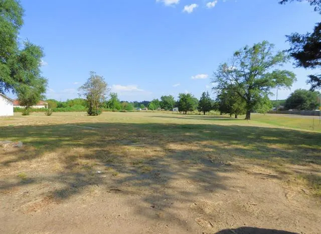 Improved Land For Sale in Titus County , 2524 Greenhill Rd, Mt Pleasant, Texas 75455, 0, 0, Garage spaces, 0 Sqft, built in 0, Price $179,900, mls#21207018, Real Estate Agent in Mt Pleasant, Homes For Sale in Titus county, Homes For Sale in Mt Pleasant, Realtor in Mt Pleasant Texas, Real Estate Brokerage Independent Realty Texas, Luminita Cordes Realtor