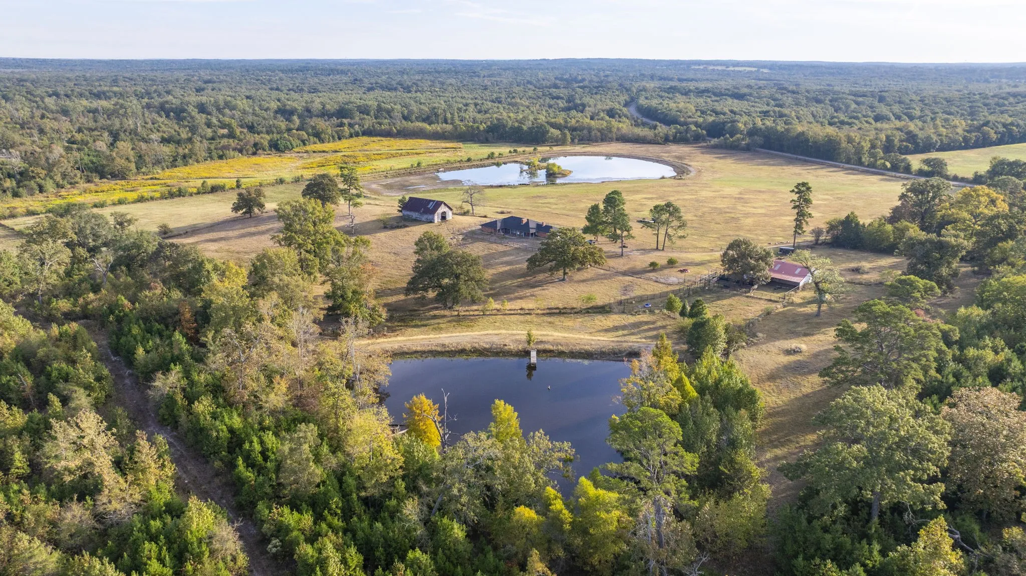 Ranch For Sale in Wood County , 3222 FM1254, Mineola, Texas 75773, 0, 0, Garage spaces, 0 Sqft, built in 1973, mls#21198127, Real Estate Agent in Mineola, Homes For Sale in Wood county, Homes For Sale in Mineola, Realtor in Mineola Texas, Real Estate Brokerage Independent Realty Texas, Luminita Cordes Realtor
