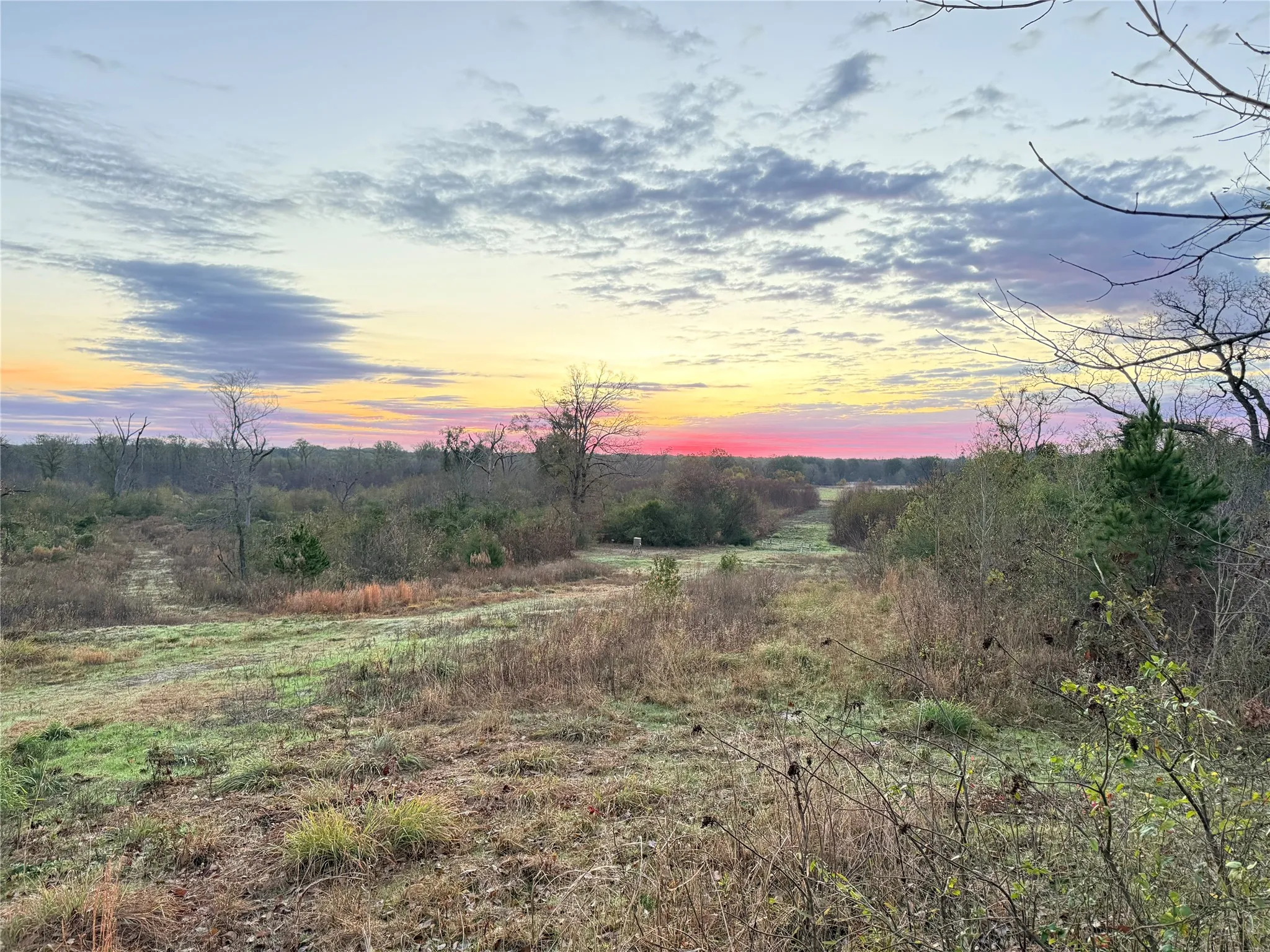 Ranch For Sale in Wood County , 3222 FM1254, Mineola, Texas 75773, 0, 0, Garage spaces, 0 Sqft, built in 1973, mls#21198127, Real Estate Agent in Mineola, Homes For Sale in Wood county, Homes For Sale in Mineola, Realtor in Mineola Texas, Real Estate Brokerage Independent Realty Texas, Luminita Cordes Realtor