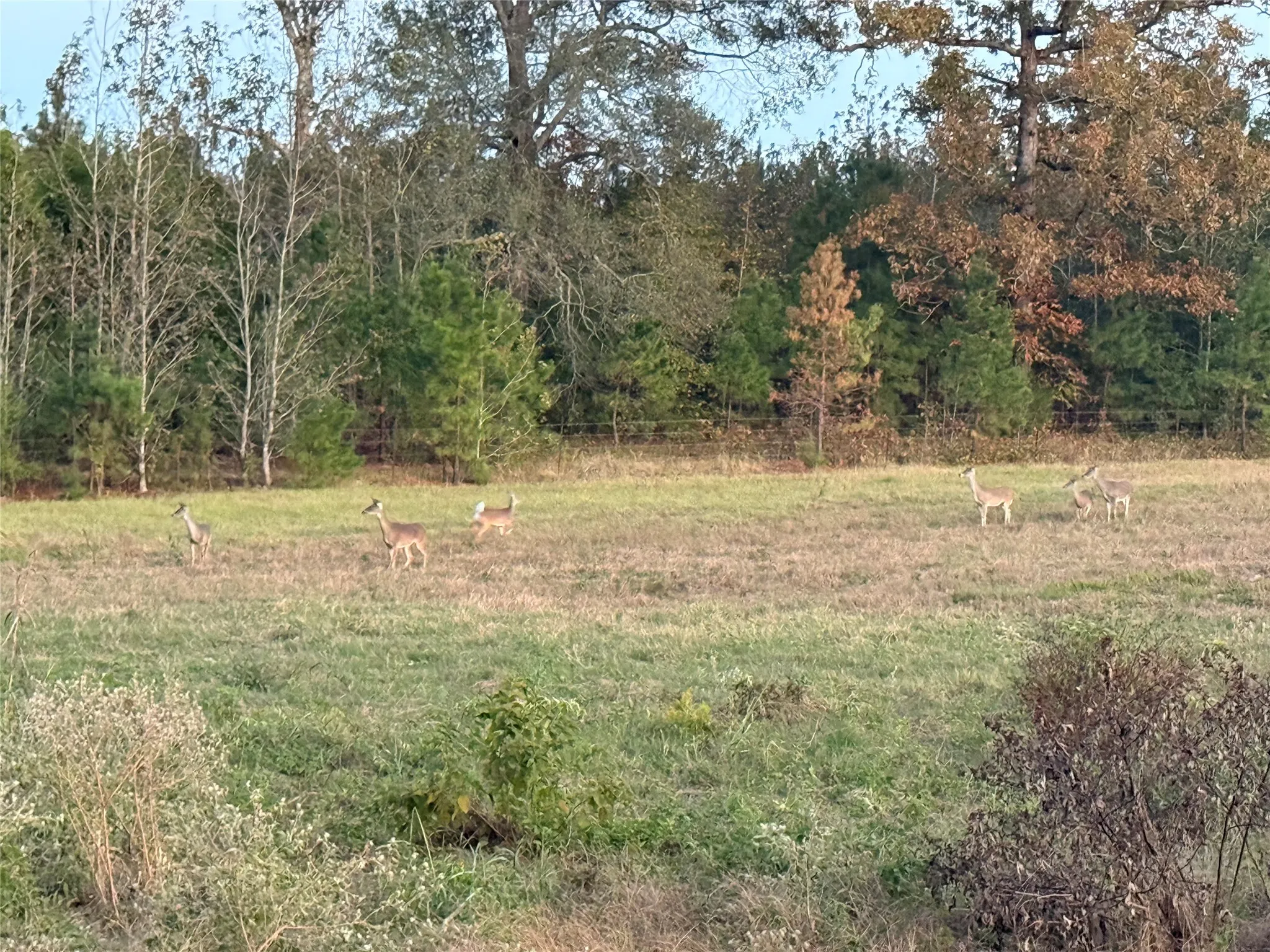 Ranch For Sale in Wood County , 3222 FM1254, Mineola, Texas 75773, 0, 0, Garage spaces, 0 Sqft, built in 1973, mls#21198127, Real Estate Agent in Mineola, Homes For Sale in Wood county, Homes For Sale in Mineola, Realtor in Mineola Texas, Real Estate Brokerage Independent Realty Texas, Luminita Cordes Realtor