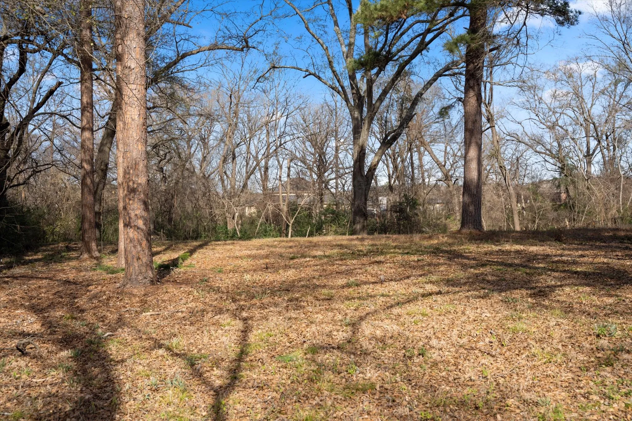 Unimproved Land For Sale in Titus County , TBD W 1st Street, Mt Pleasant, Texas 75455, 0, 0, Garage spaces, 0 Sqft, built in 0, Price $190,000, mls#21211368, Real Estate Agent in Mt Pleasant, Homes For Sale in Titus county, Homes For Sale in Mt Pleasant, Realtor in Mt Pleasant Texas, Real Estate Brokerage Independent Realty Texas, Luminita Cordes Realtor