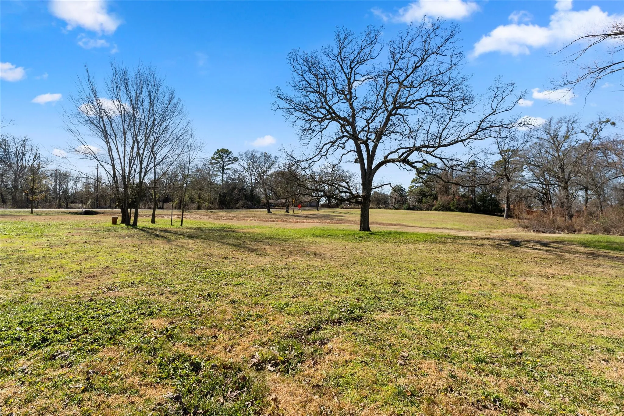 Unimproved Land For Sale in Titus County , TBD W 1st Street, Mt Pleasant, Texas 75455, 0, 0, Garage spaces, 0 Sqft, built in 0, Price $190,000, mls#21211368, Real Estate Agent in Mt Pleasant, Homes For Sale in Titus county, Homes For Sale in Mt Pleasant, Realtor in Mt Pleasant Texas, Real Estate Brokerage Independent Realty Texas, Luminita Cordes Realtor