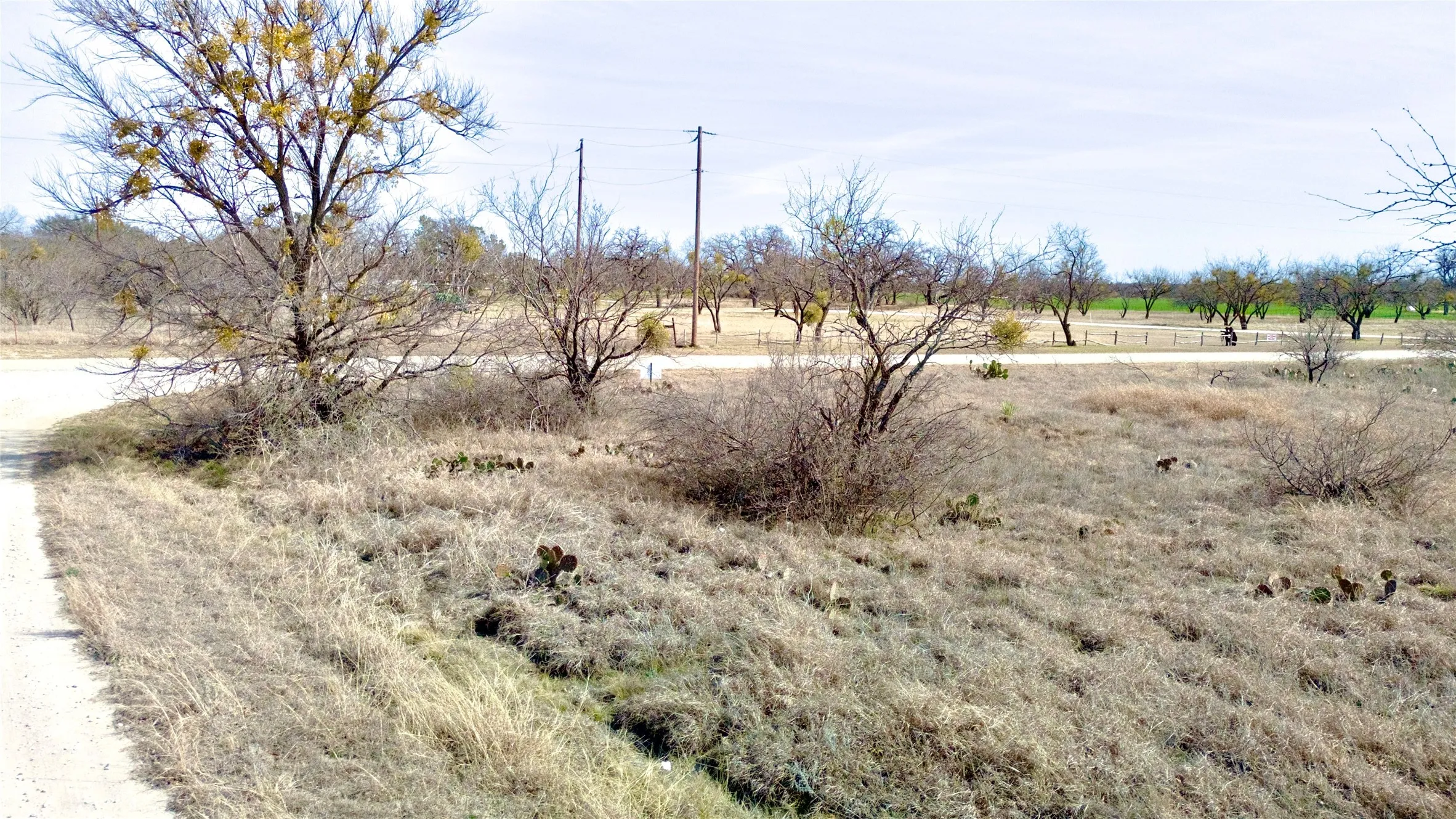 Unimproved Land For Sale in Brown County , TBD 1.75 Acres Sherwood Drive, Brownwood, Texas 76801, 0, 0, Garage spaces, 0 Sqft, built in 0, mls#21187912, Real Estate Agent in Brownwood, Homes For Sale in Brown county, Homes For Sale in Brownwood, Realtor in Brownwood Texas, Real Estate Brokerage Independent Realty Texas, Luminita Cordes Realtor