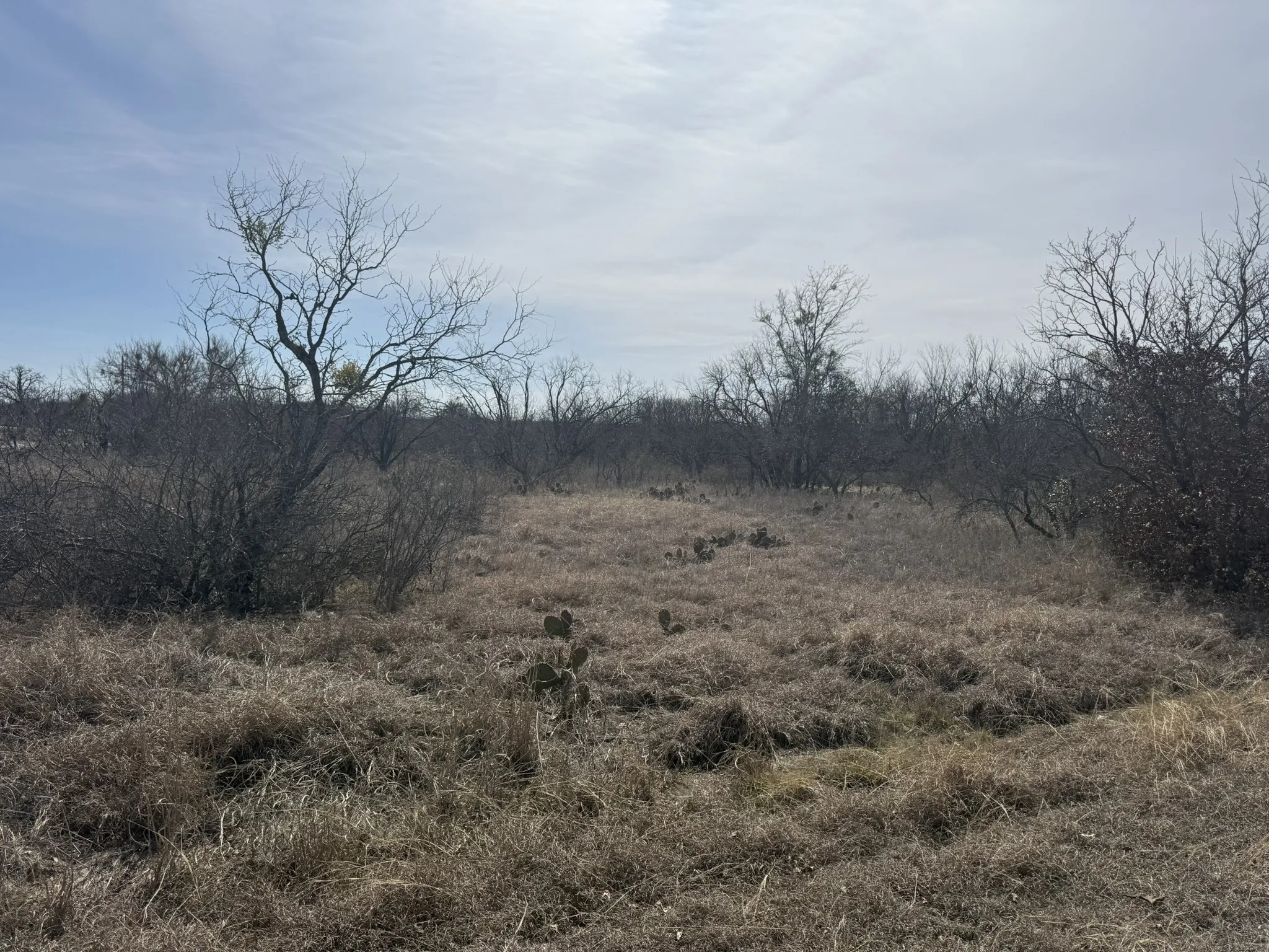 Unimproved Land For Sale in Brown County , TBD 1.75 Acres Sherwood Drive, Brownwood, Texas 76801, 0, 0, Garage spaces, 0 Sqft, built in 0, mls#21187912, Real Estate Agent in Brownwood, Homes For Sale in Brown county, Homes For Sale in Brownwood, Realtor in Brownwood Texas, Real Estate Brokerage Independent Realty Texas, Luminita Cordes Realtor