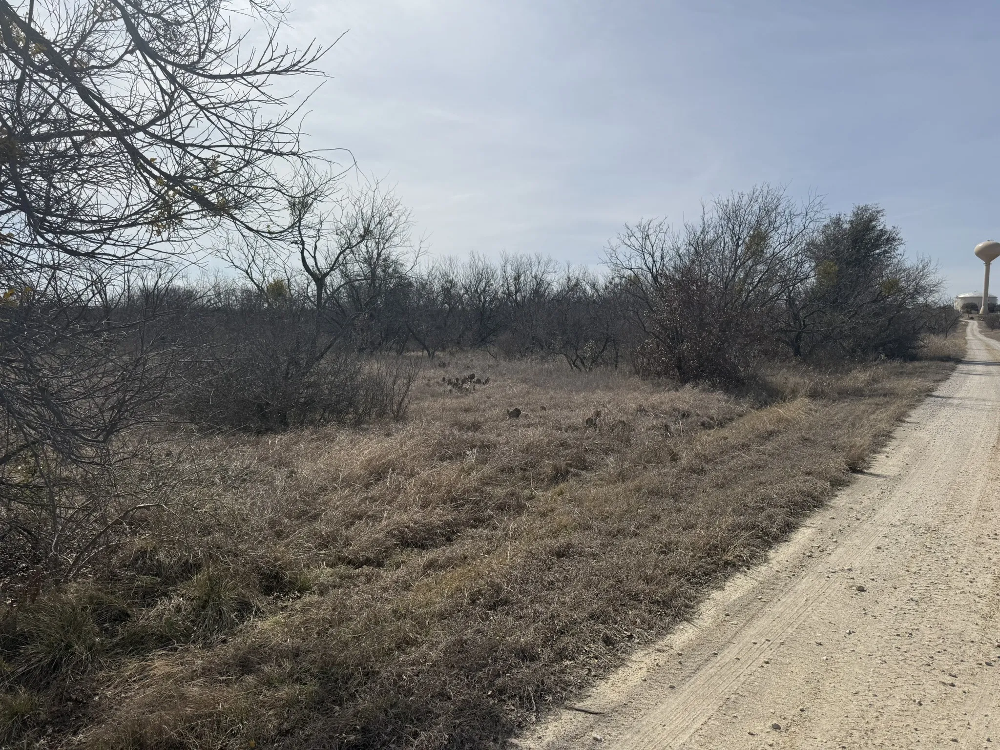 Unimproved Land For Sale in Brown County , TBD 1.75 Acres Sherwood Drive, Brownwood, Texas 76801, 0, 0, Garage spaces, 0 Sqft, built in 0, mls#21187912, Real Estate Agent in Brownwood, Homes For Sale in Brown county, Homes For Sale in Brownwood, Realtor in Brownwood Texas, Real Estate Brokerage Independent Realty Texas, Luminita Cordes Realtor